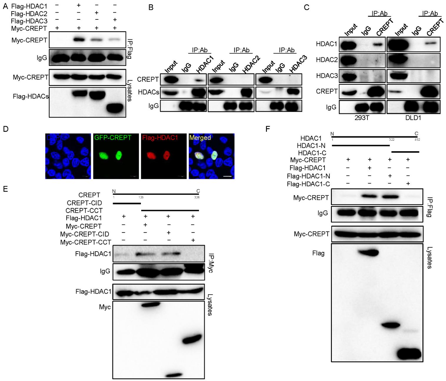 Cancers 14 04797 g003 Cancers 14 04797 g003