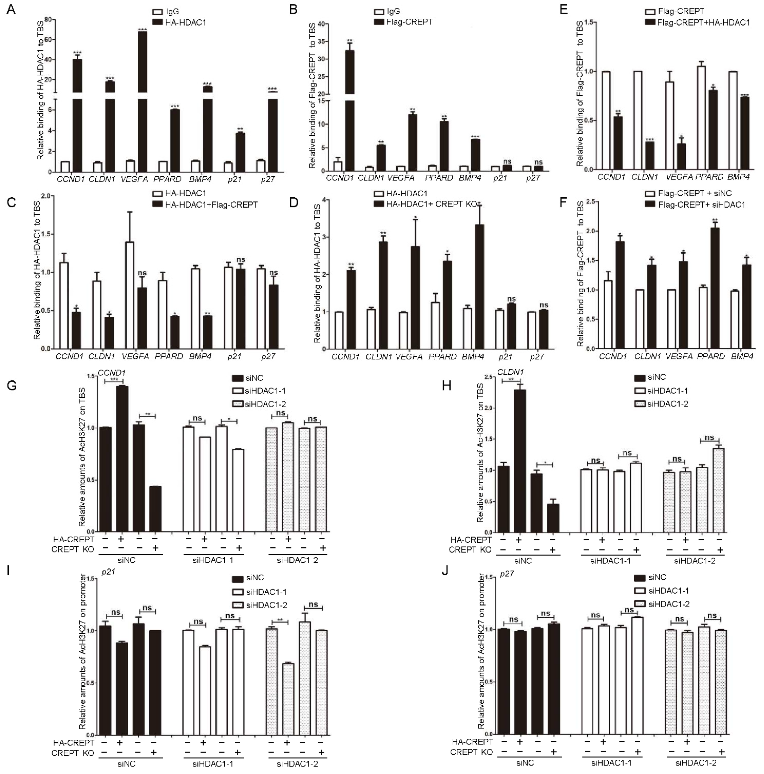Cancers 14 04797 g005 Cancers 14 04797 g005