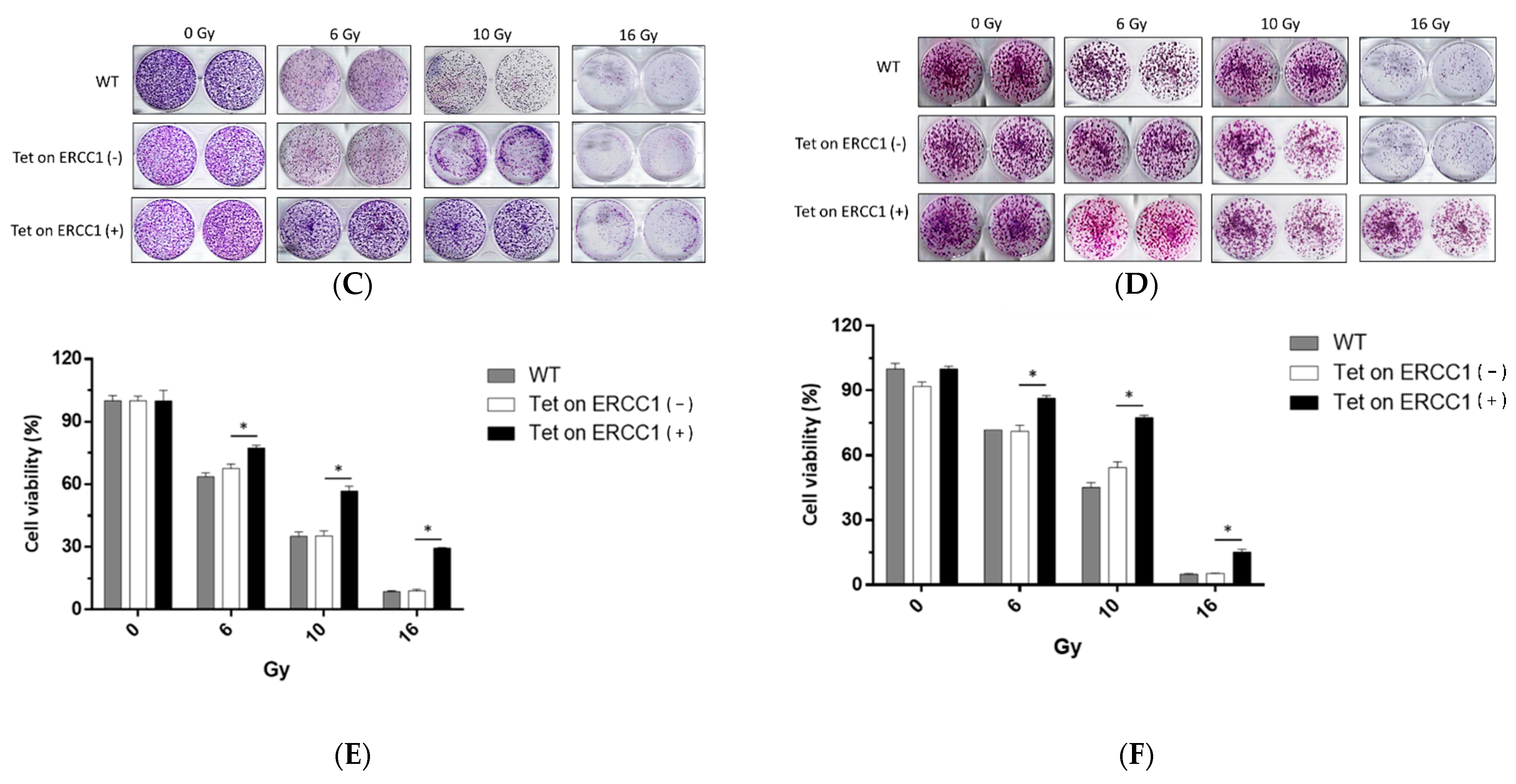 Cancers 14 04798 g002b Cancers 14 04798 g002b