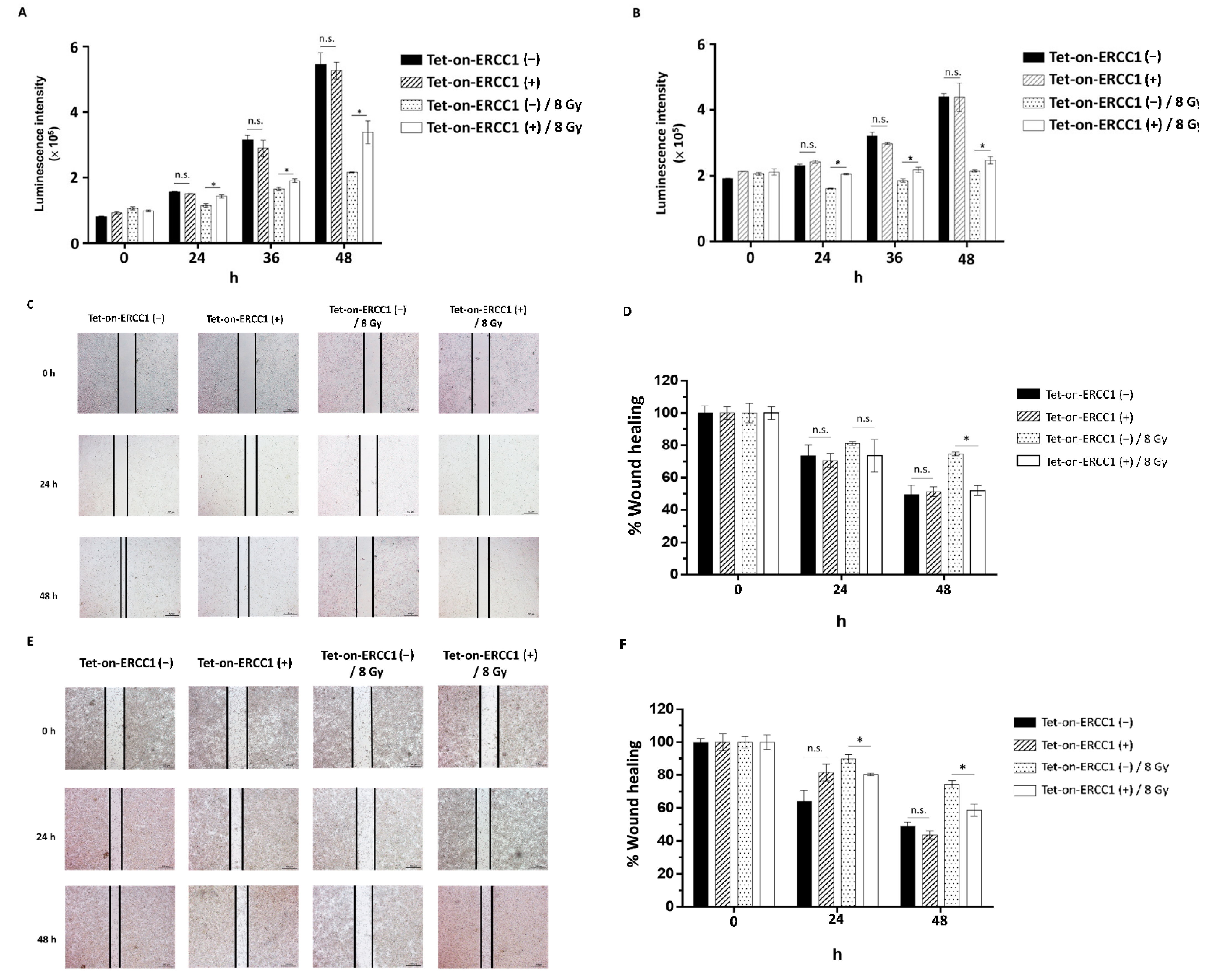 Cancers 14 04798 g004 Cancers 14 04798 g004