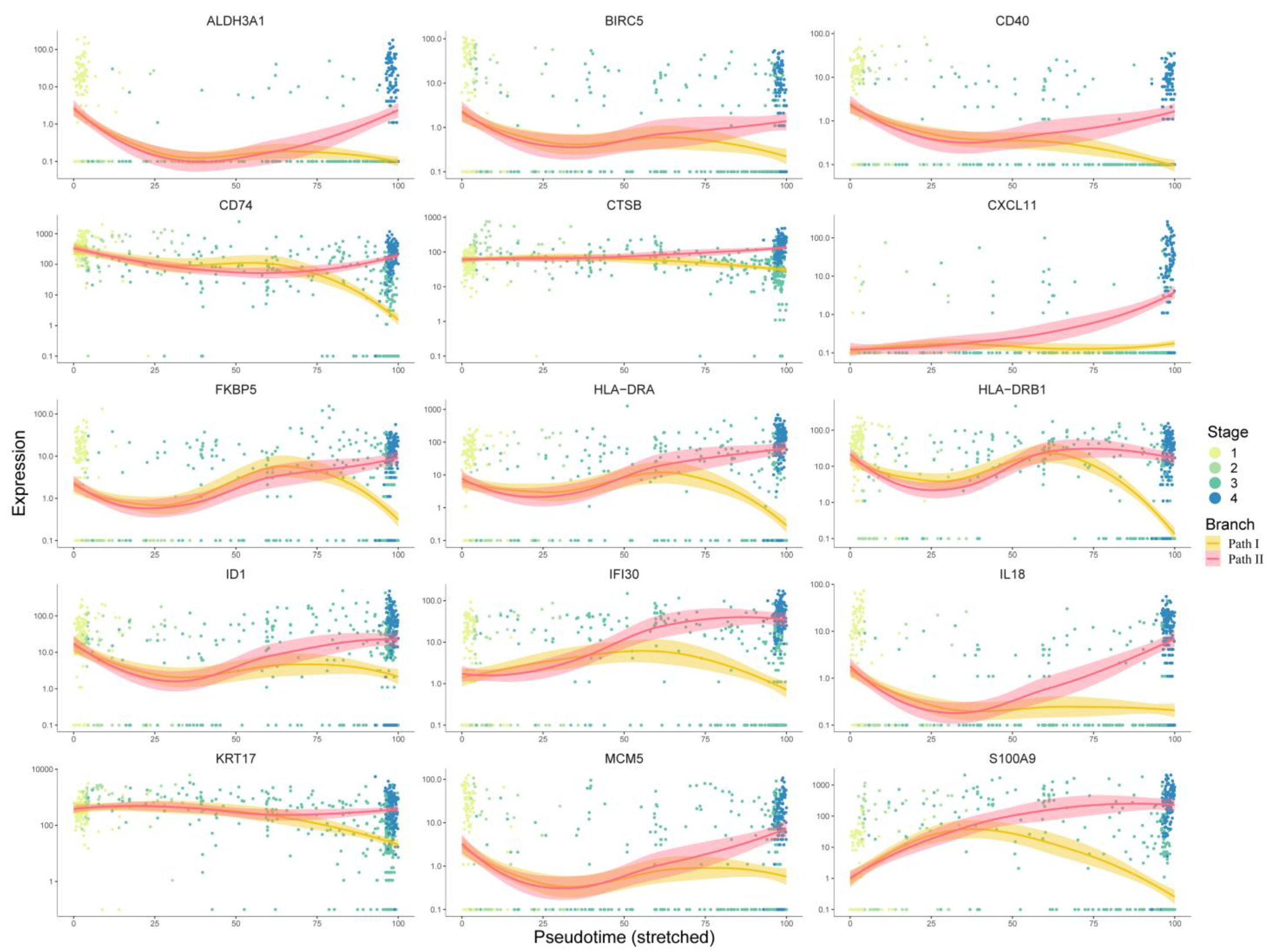 Cancers 14 04801 g006 Cancers 14 04801 g006
