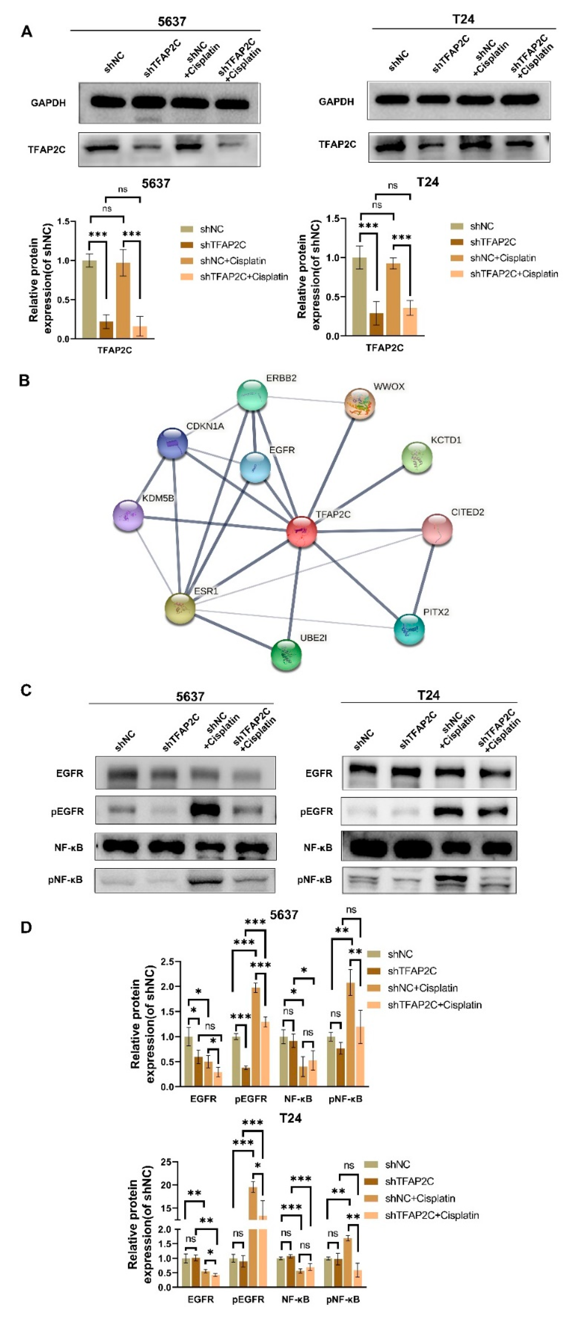 Cancers 14 04809 g006 Cancers 14 04809 g006