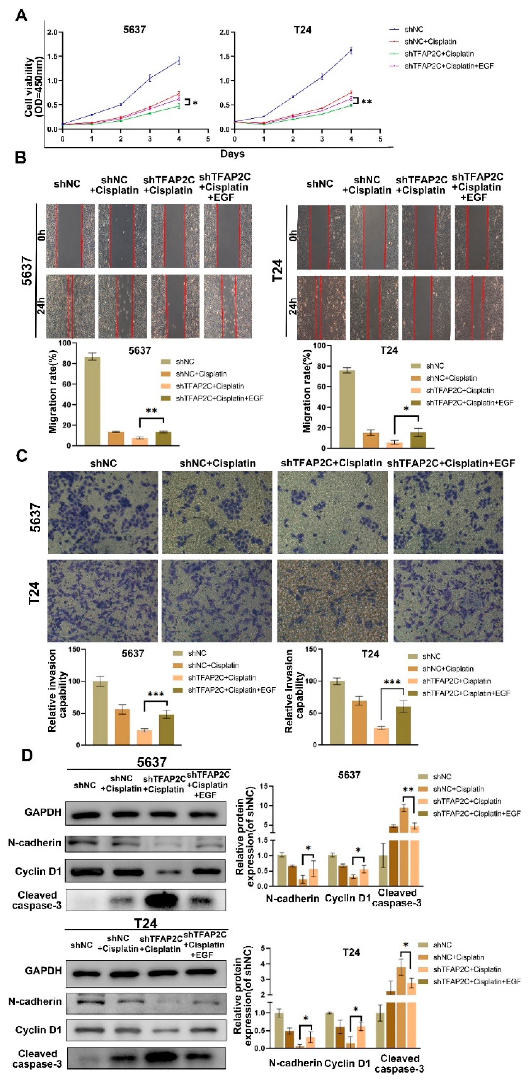 Cancers 14 04809 g008 Cancers 14 04809 g008