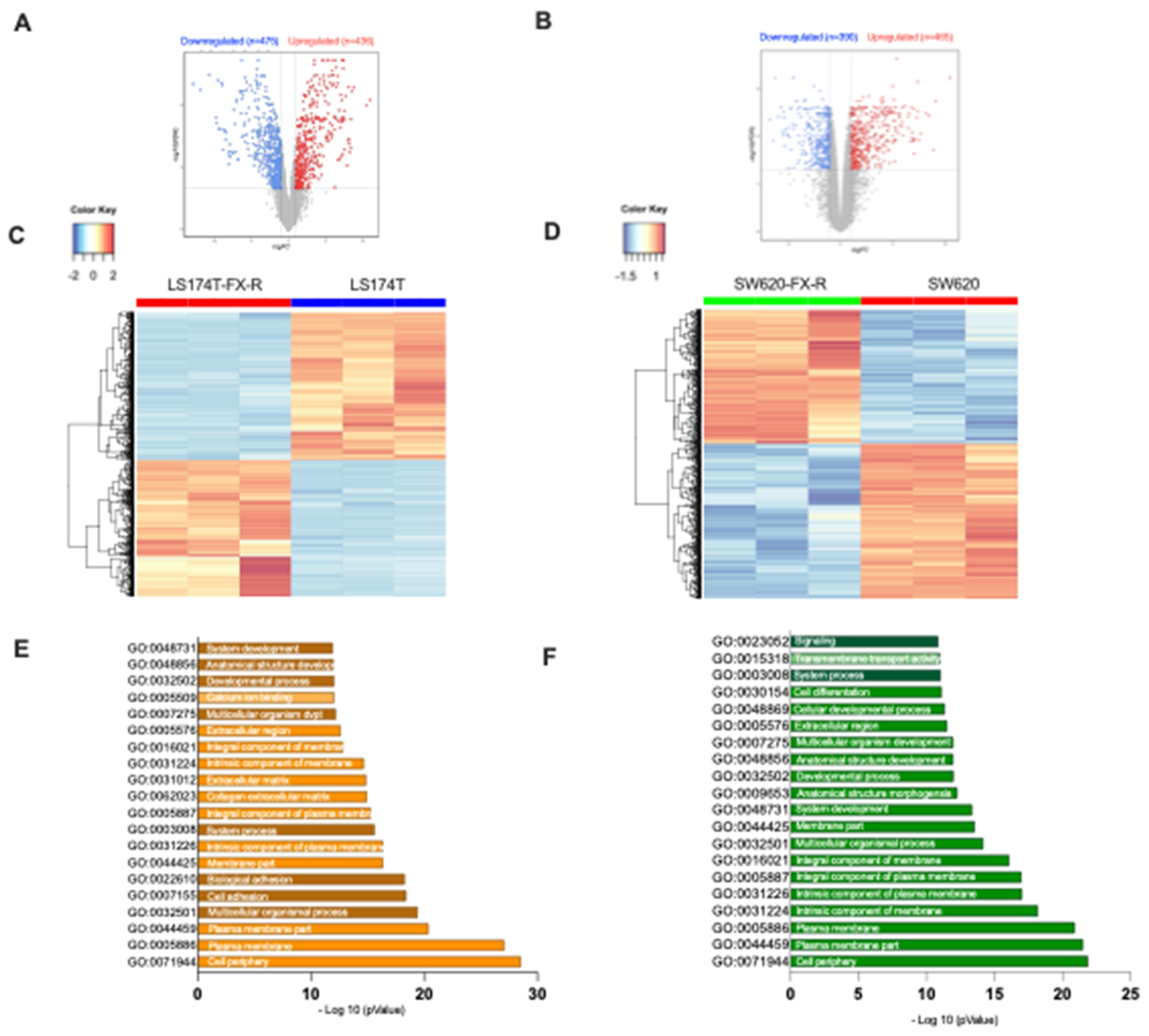 Cancers 14 04812 g004 Cancers 14 04812 g004