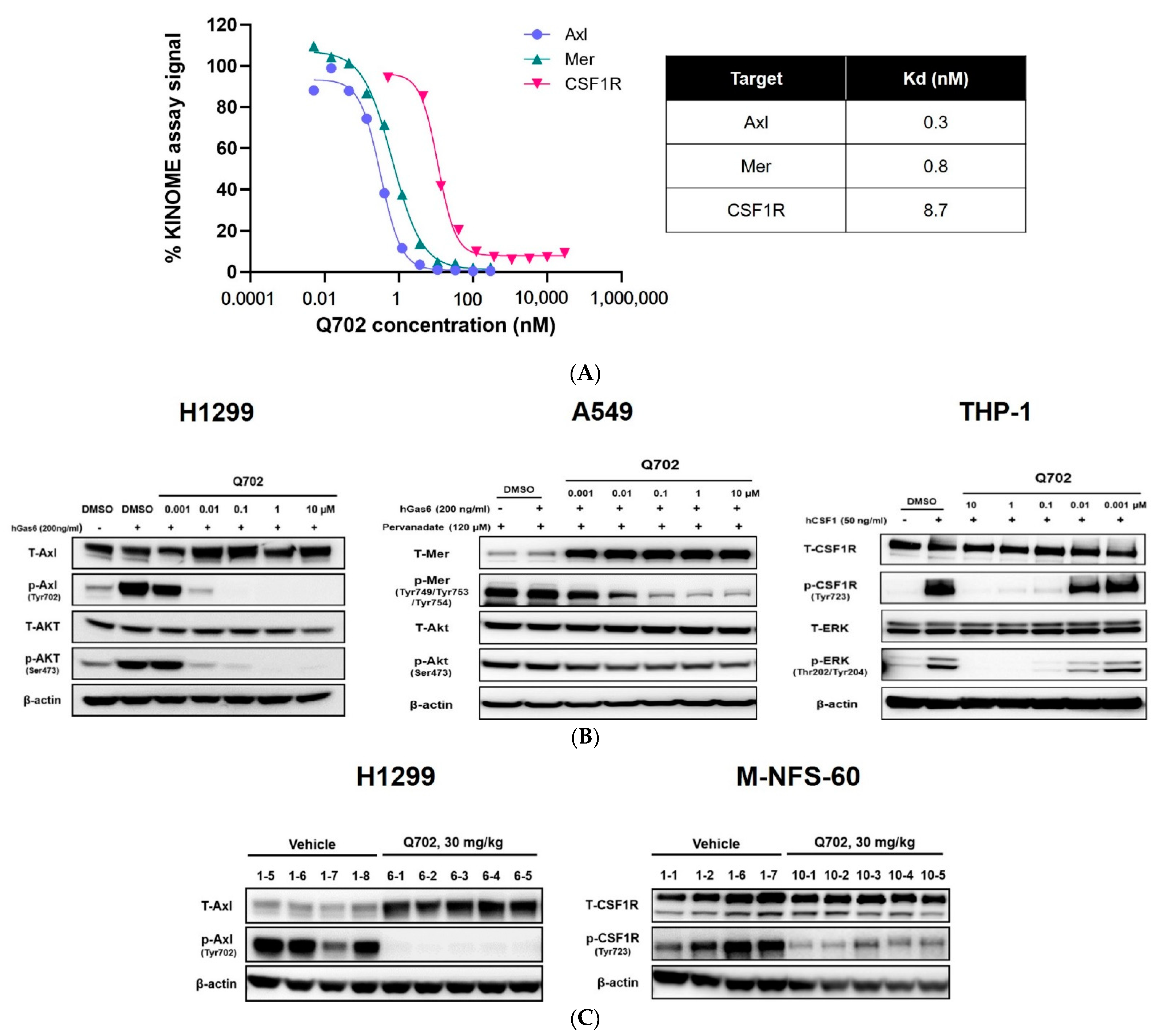 Cancers 14 04821 g001