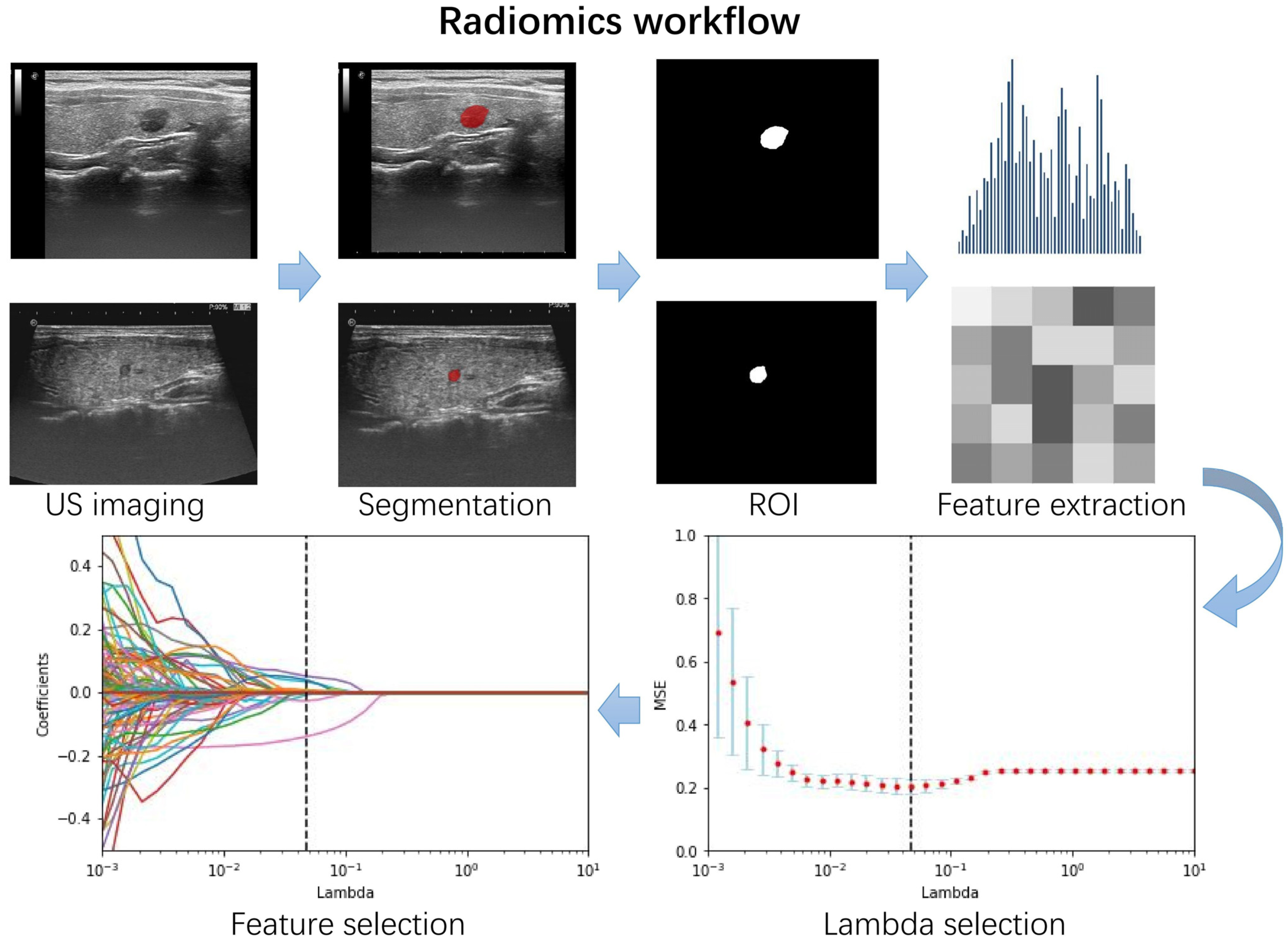 Cancers 14 04826 g002 Cancers 14 04826 g002