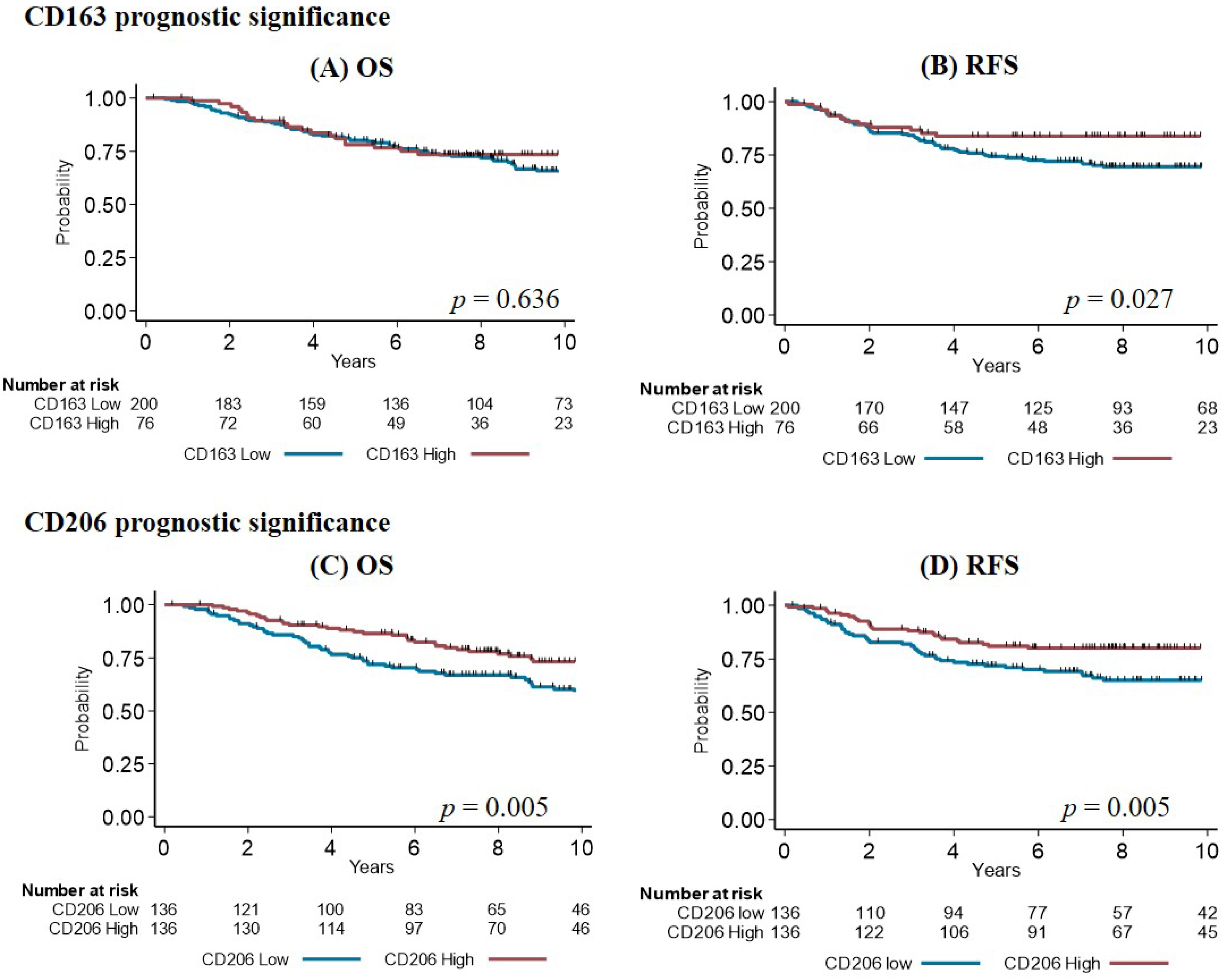 Cancers 14 04829 g003 Cancers 14 04829 g003