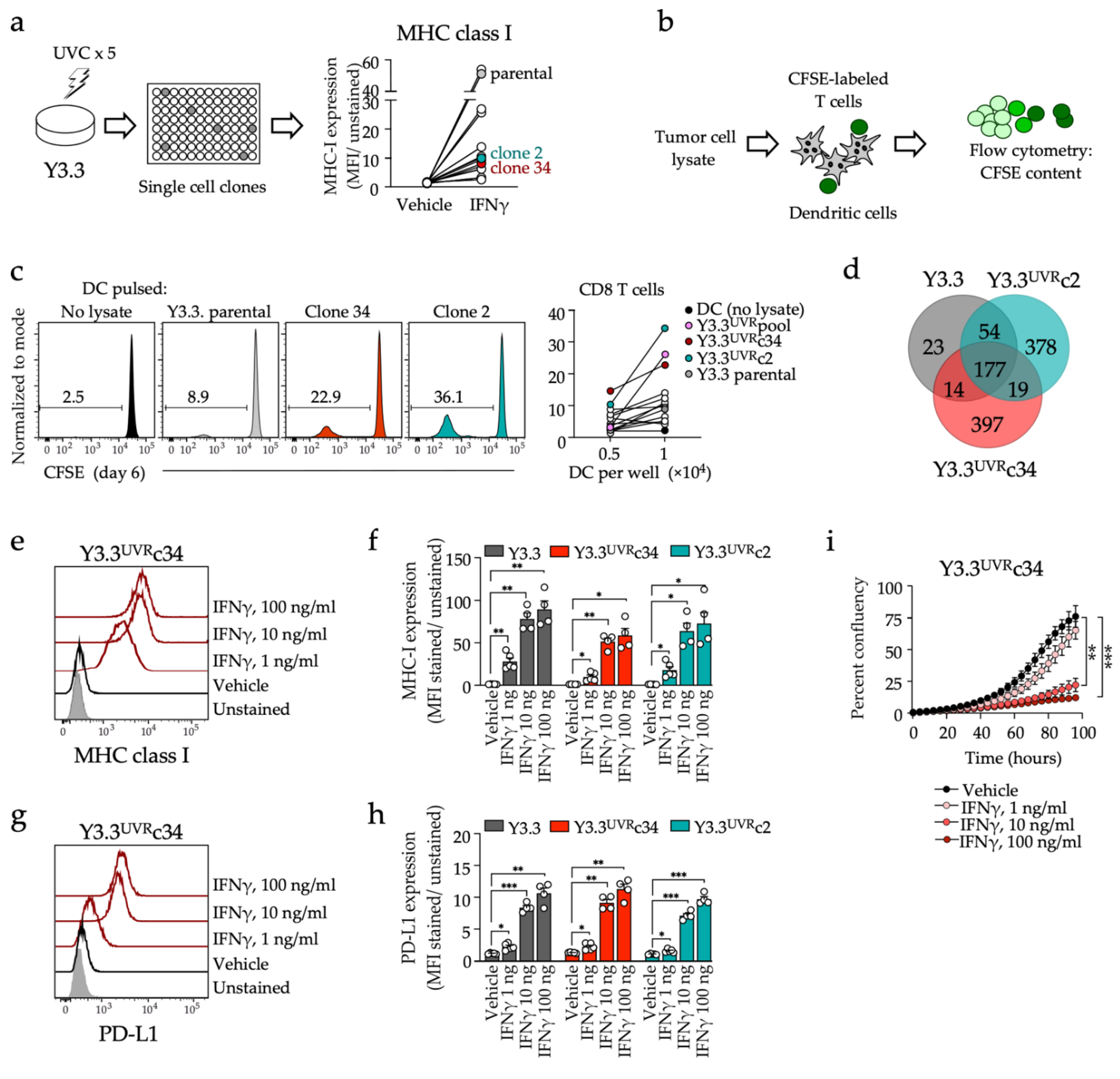 Cancers 14 04830 g001 Cancers 14 04830 g001