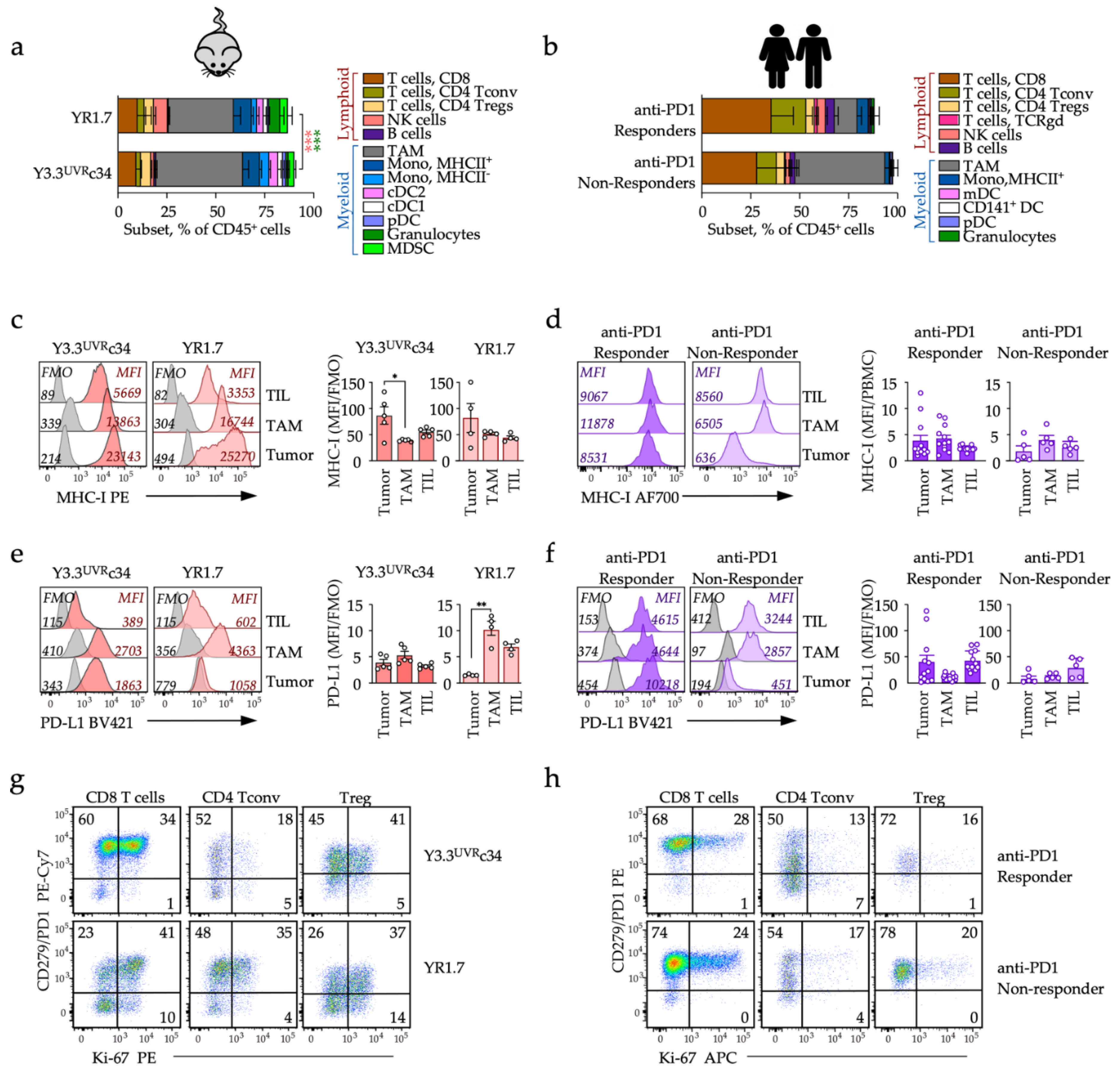 Cancers 14 04830 g003 Cancers 14 04830 g003