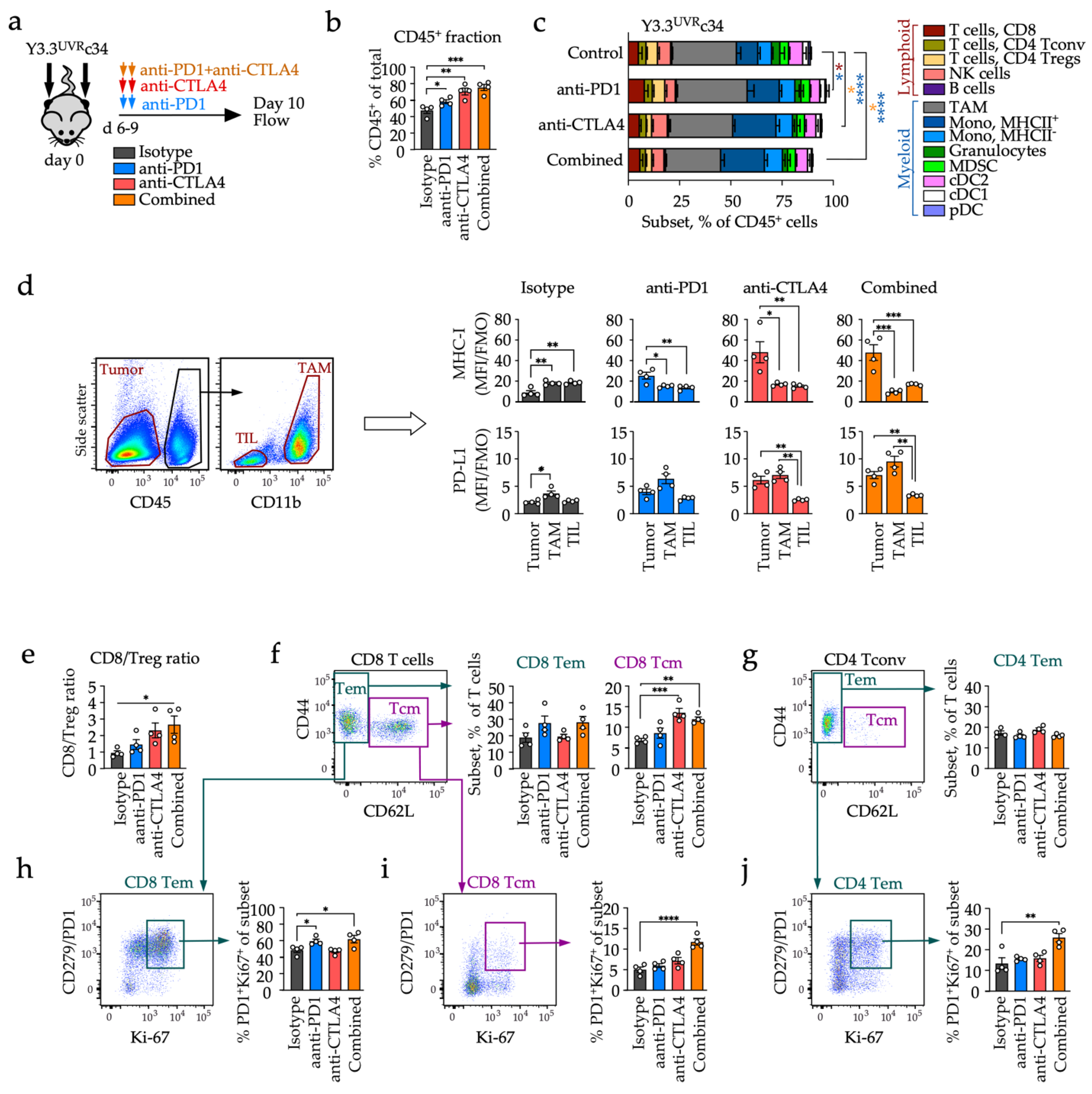 Cancers 14 04830 g004 Cancers 14 04830 g004