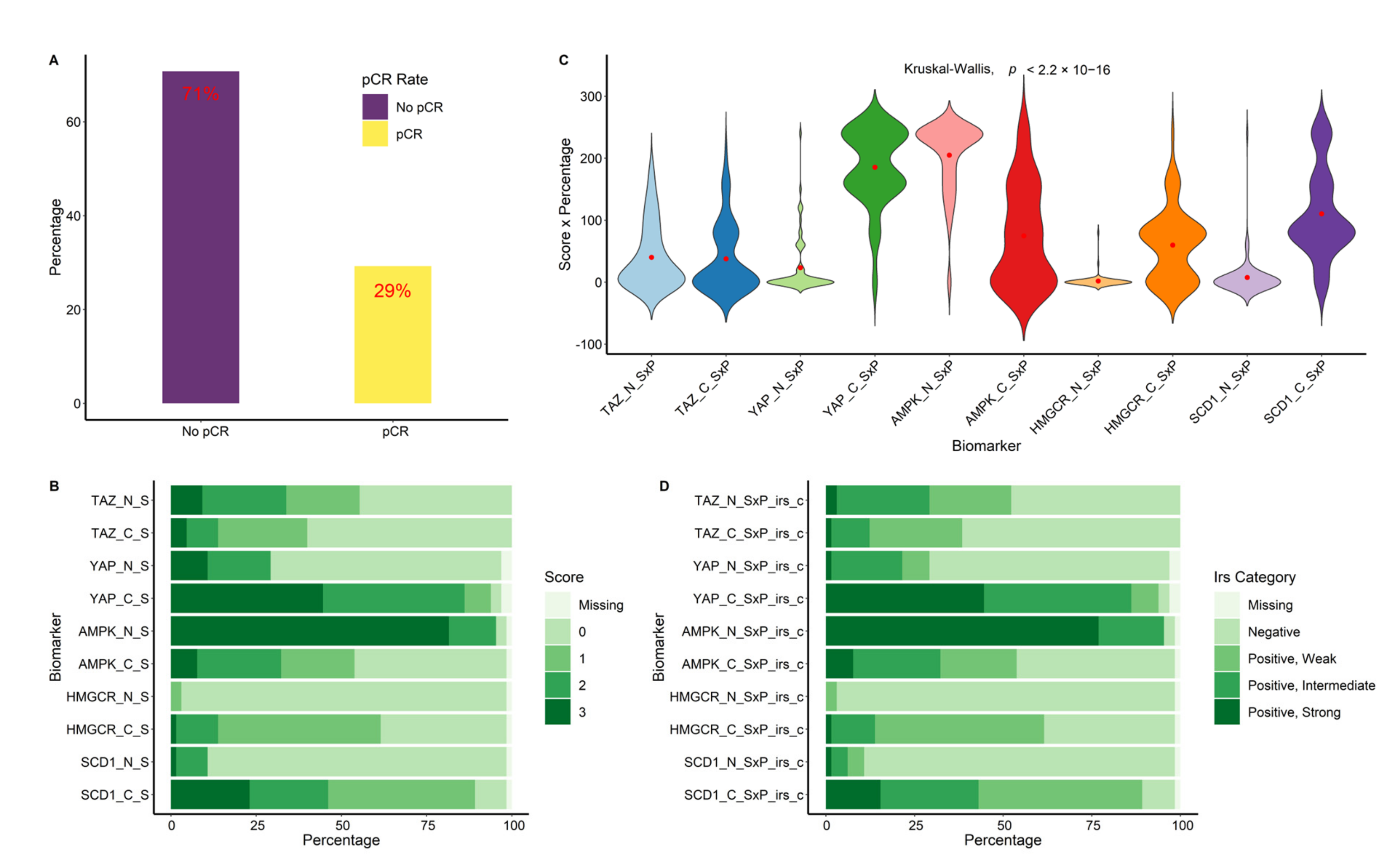 Cancers 14 04835 g002 Cancers 14 04835 g002