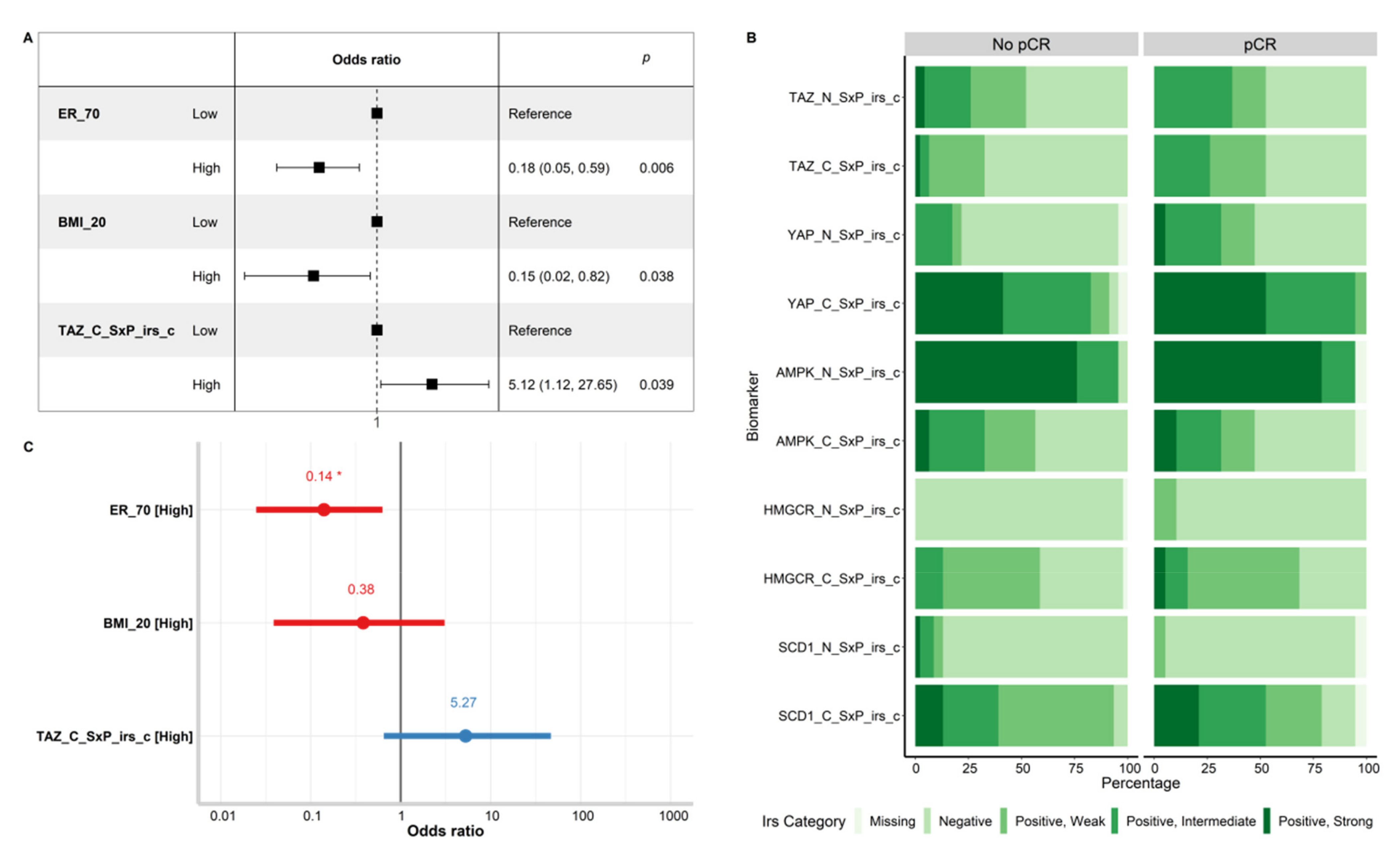 Cancers 14 04835 g004 Cancers 14 04835 g004