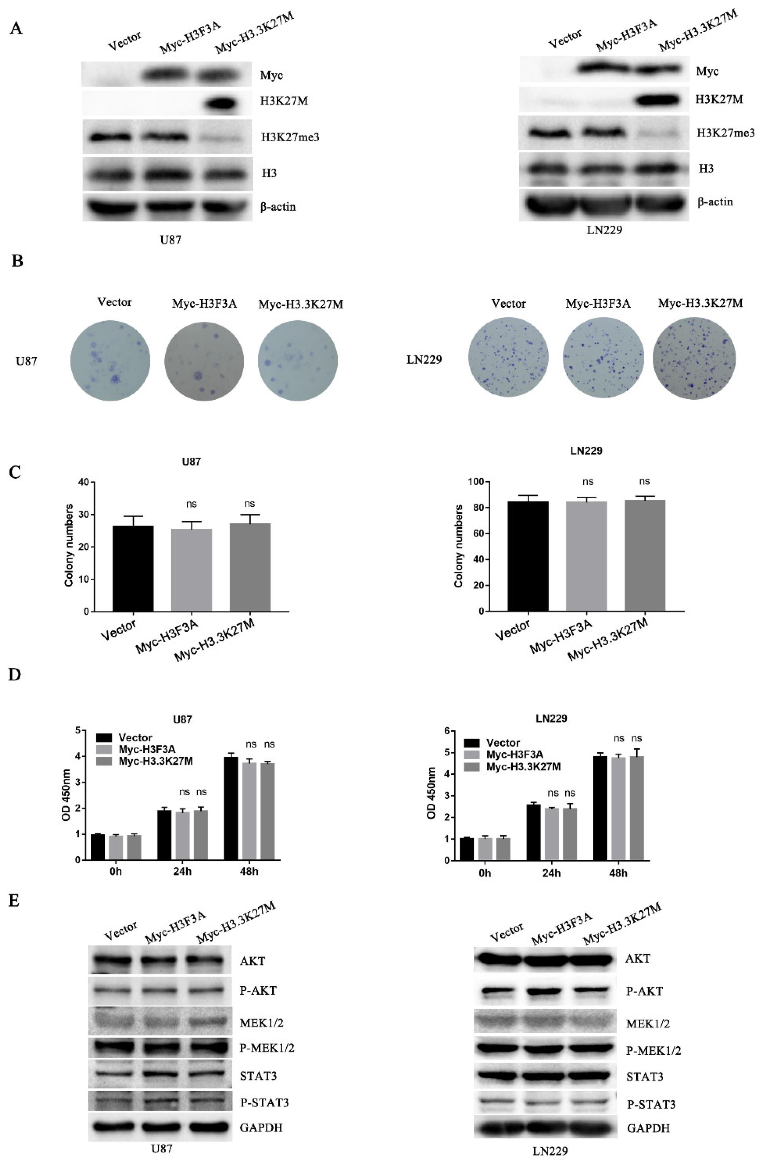 Cancers 14 04836 g002
