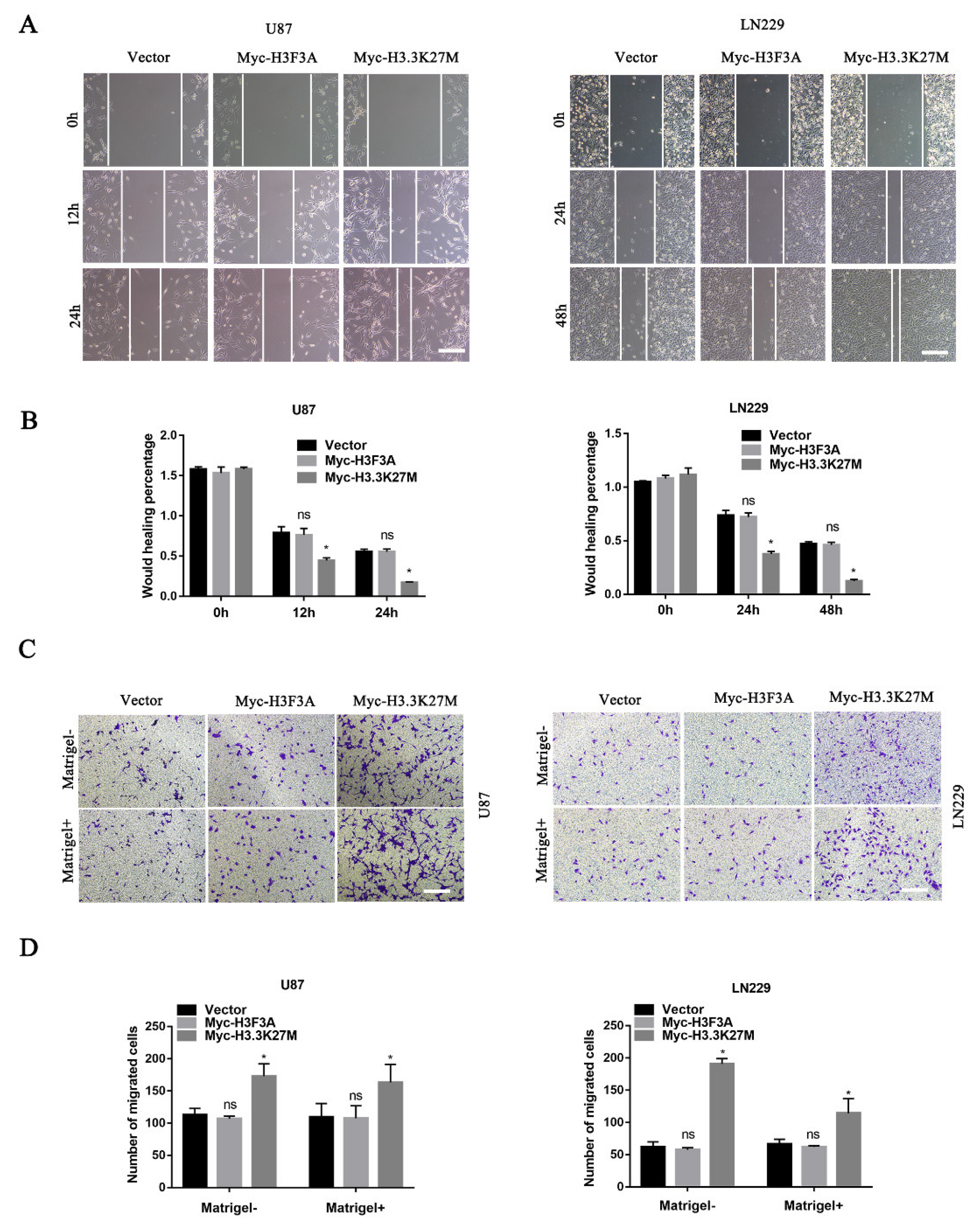 Cancers 14 04836 g004