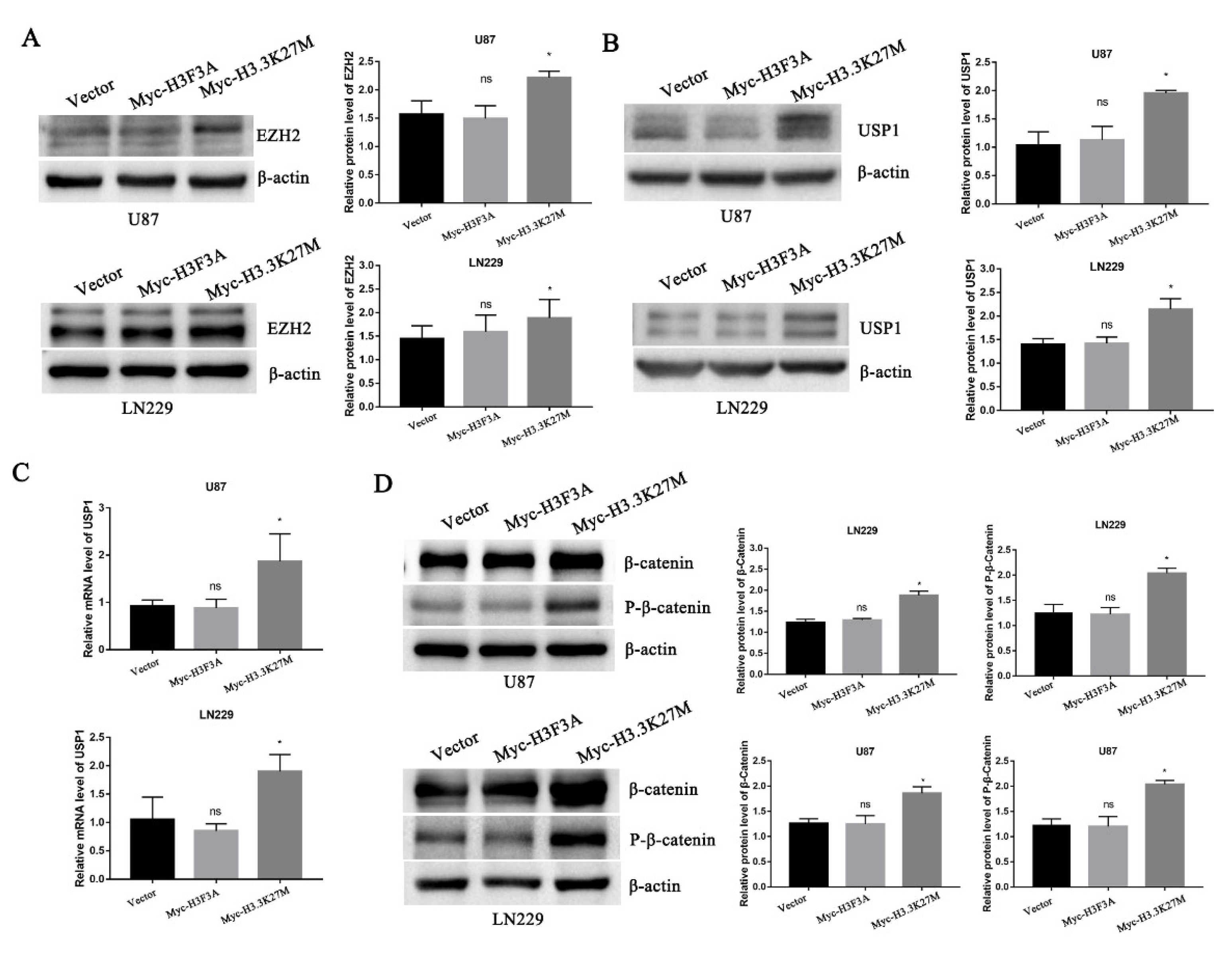 Cancers 14 04836 g005