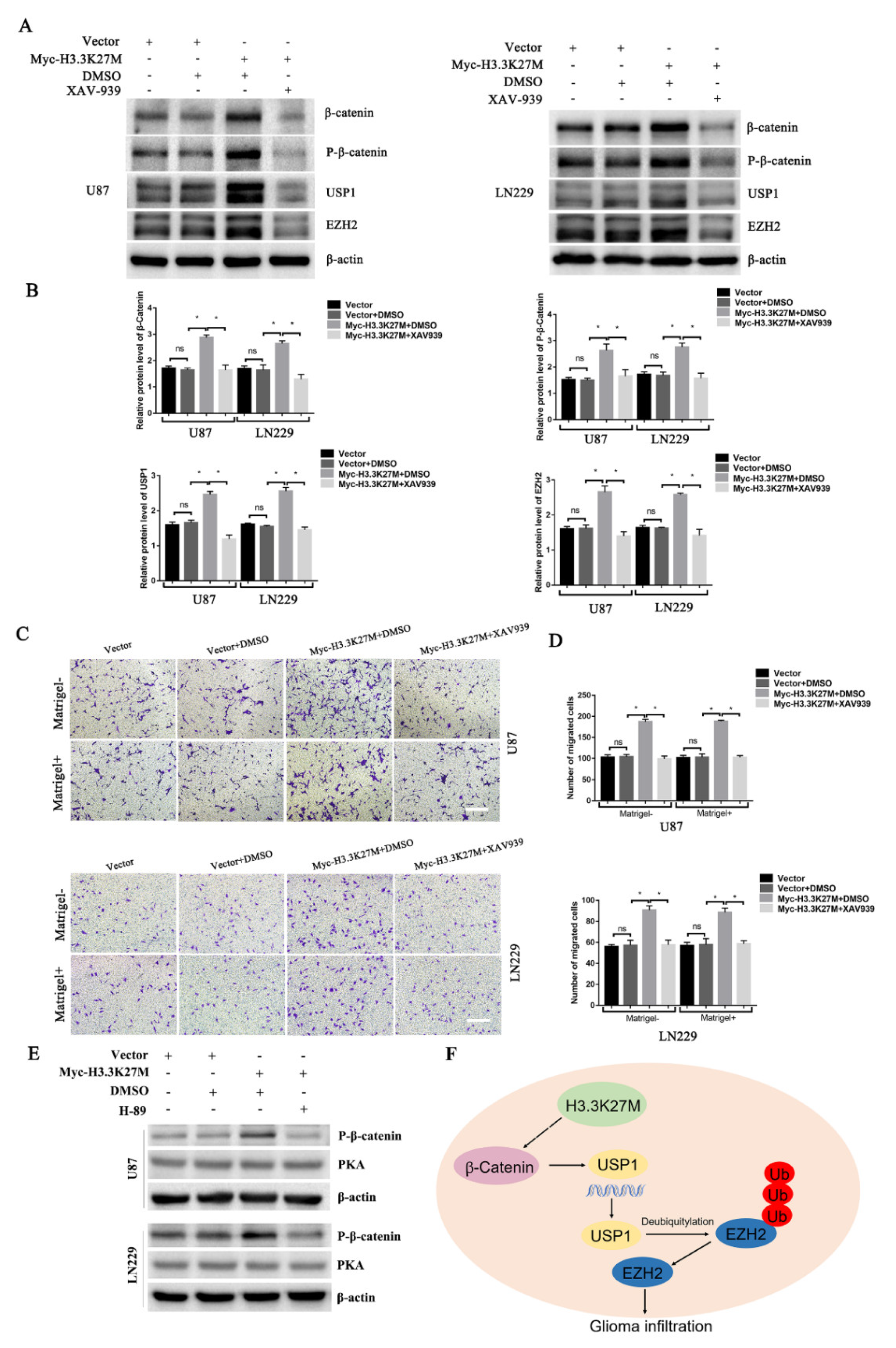 Cancers 14 04836 g006