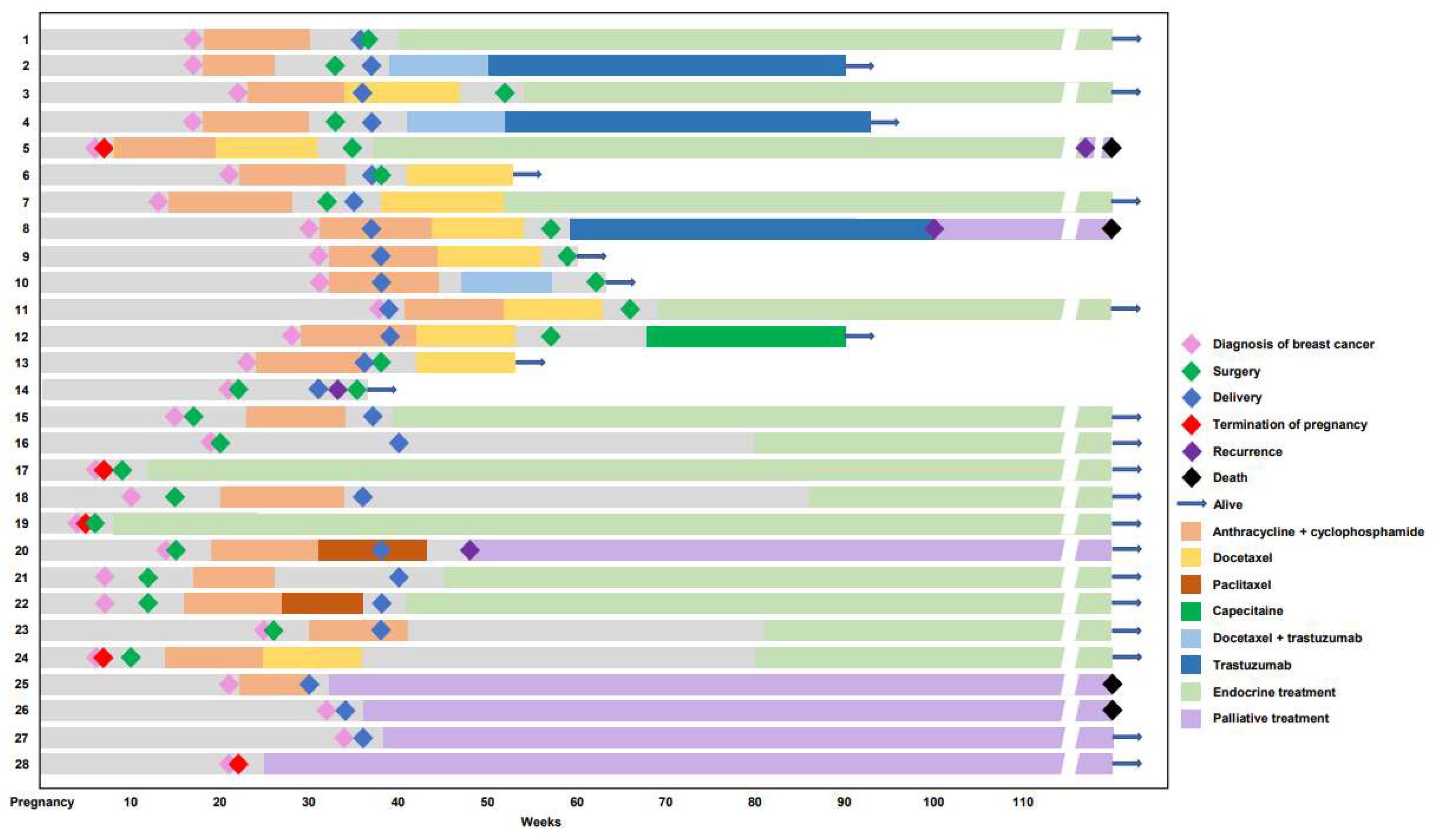 Cancers 14 04839 g001 Cancers 14 04839 g001