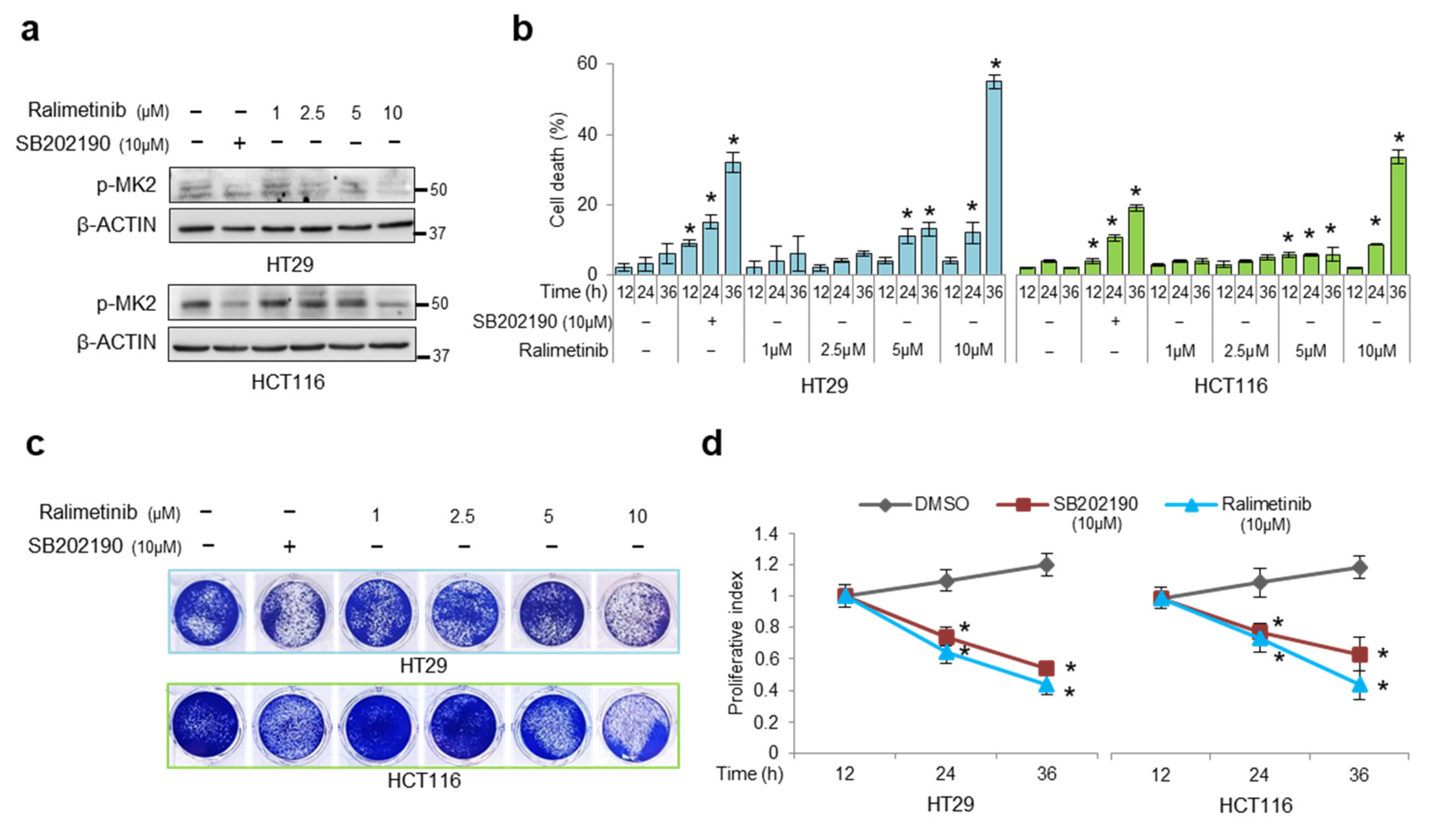 Cancers 14 04840 g003
