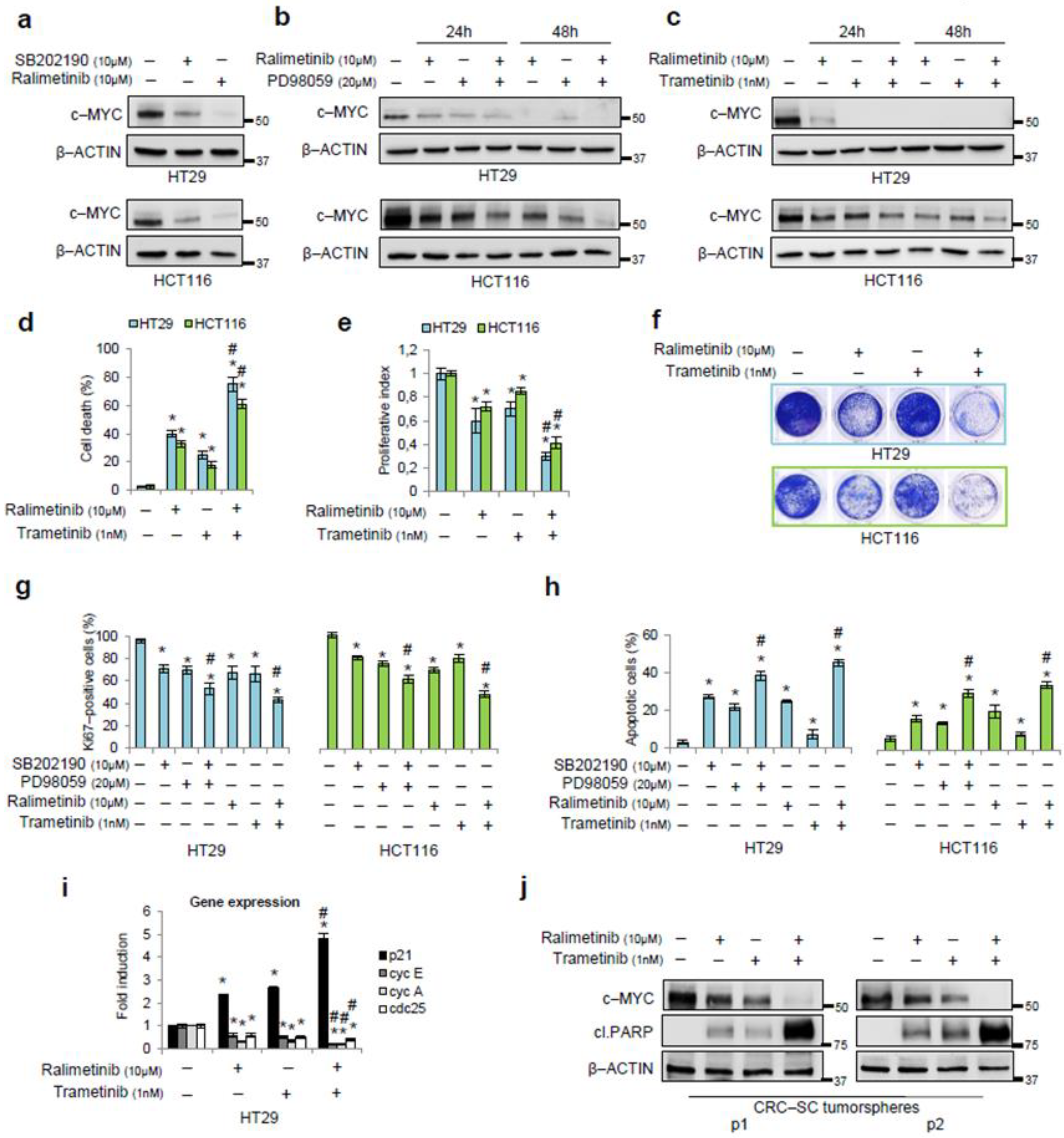 Cancers 14 04840 g004