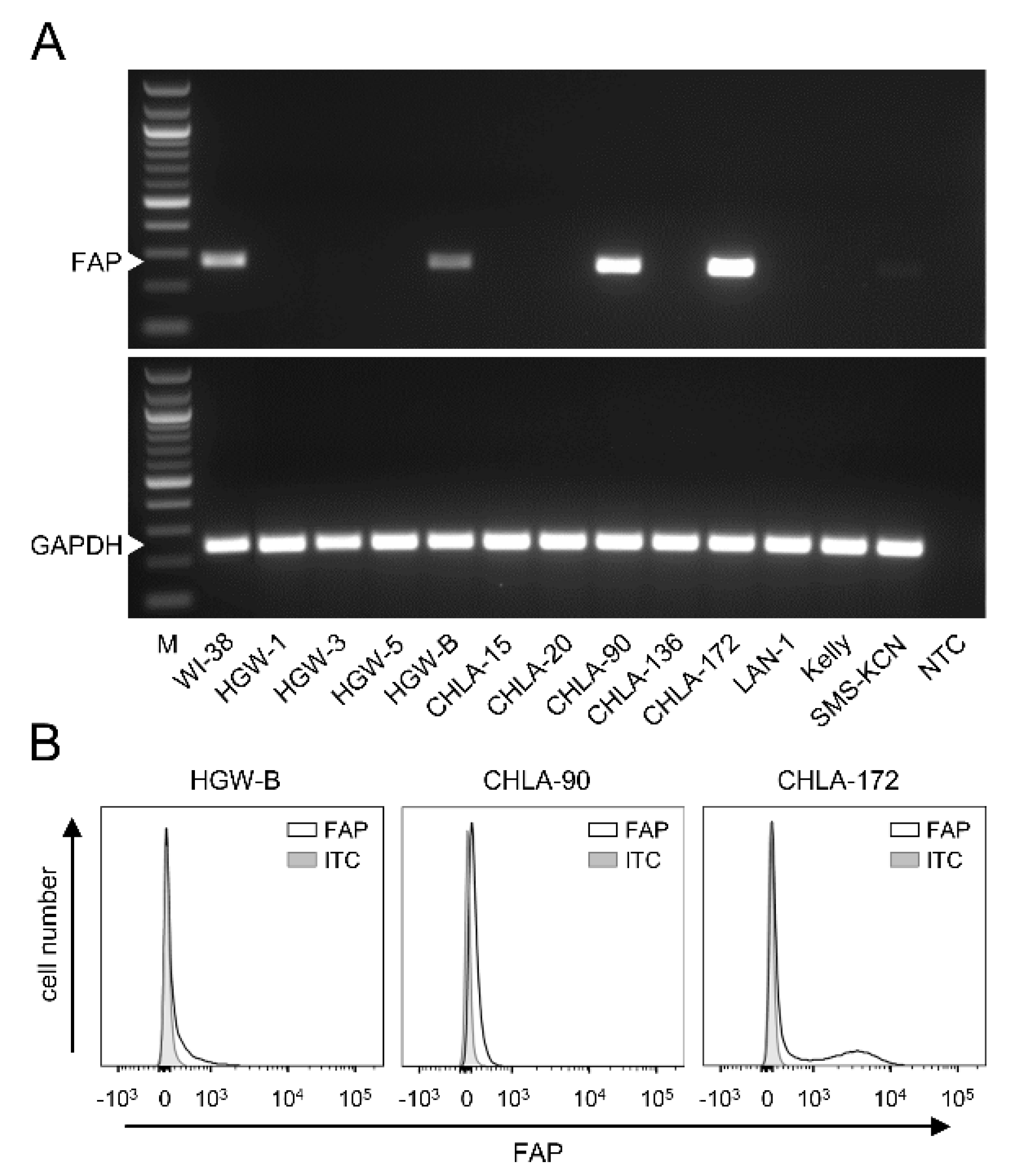Cancers 14 04842 g002