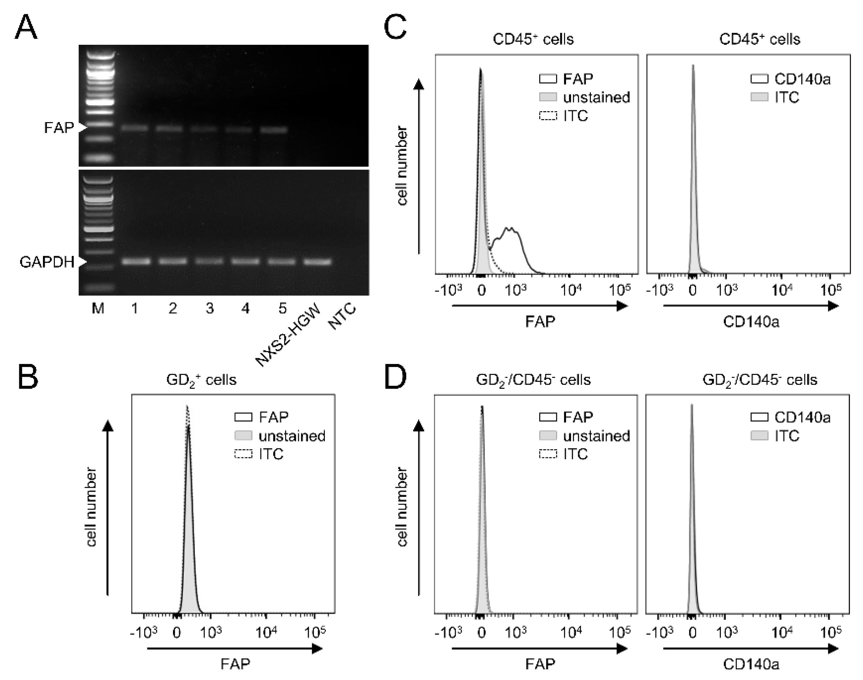 Cancers 14 04842 g004