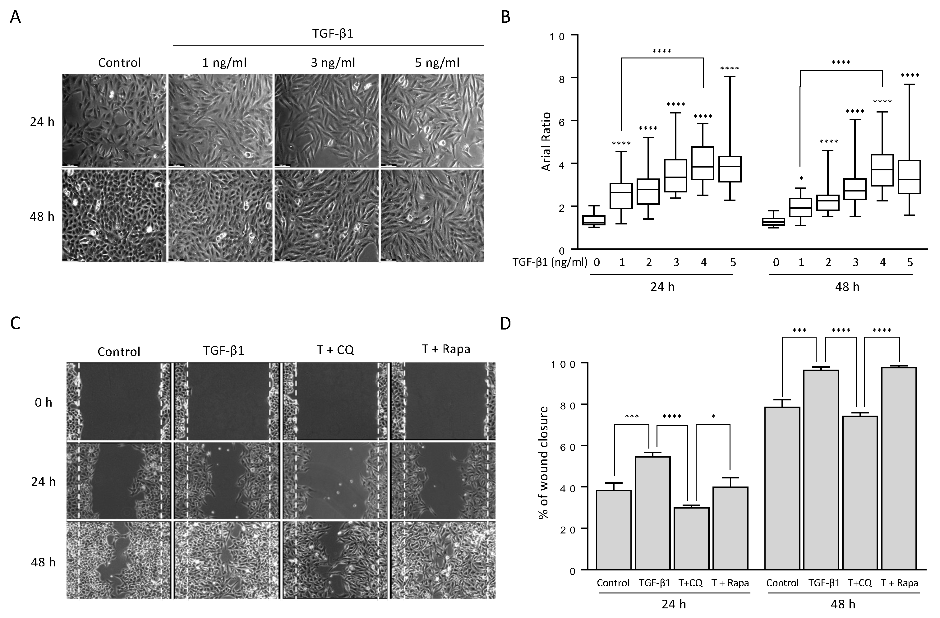 Cancers 14 04845 g001 Cancers 14 04845 g001