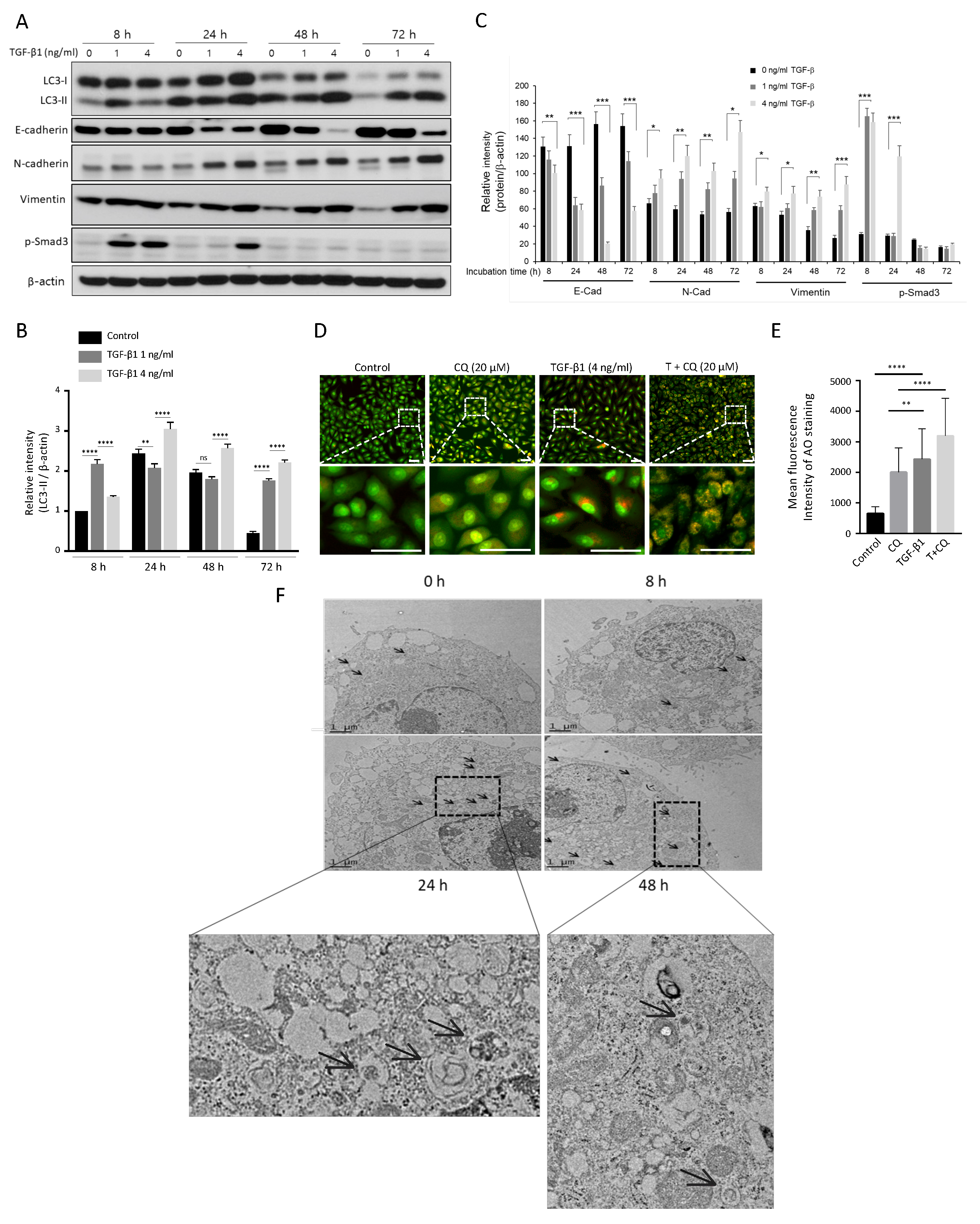 Cancers 14 04845 g002 Cancers 14 04845 g002