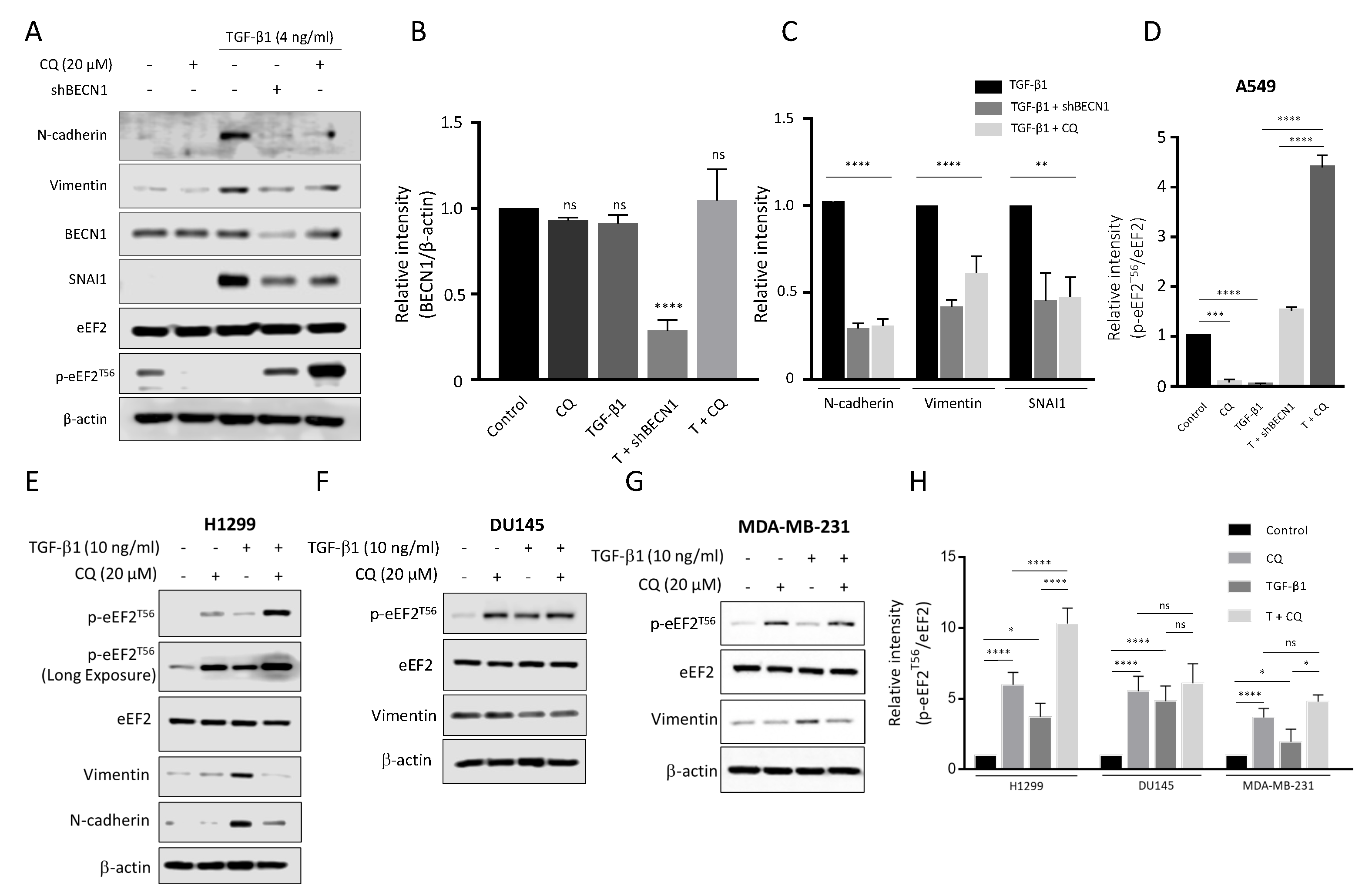 Cancers 14 04845 g004 Cancers 14 04845 g004