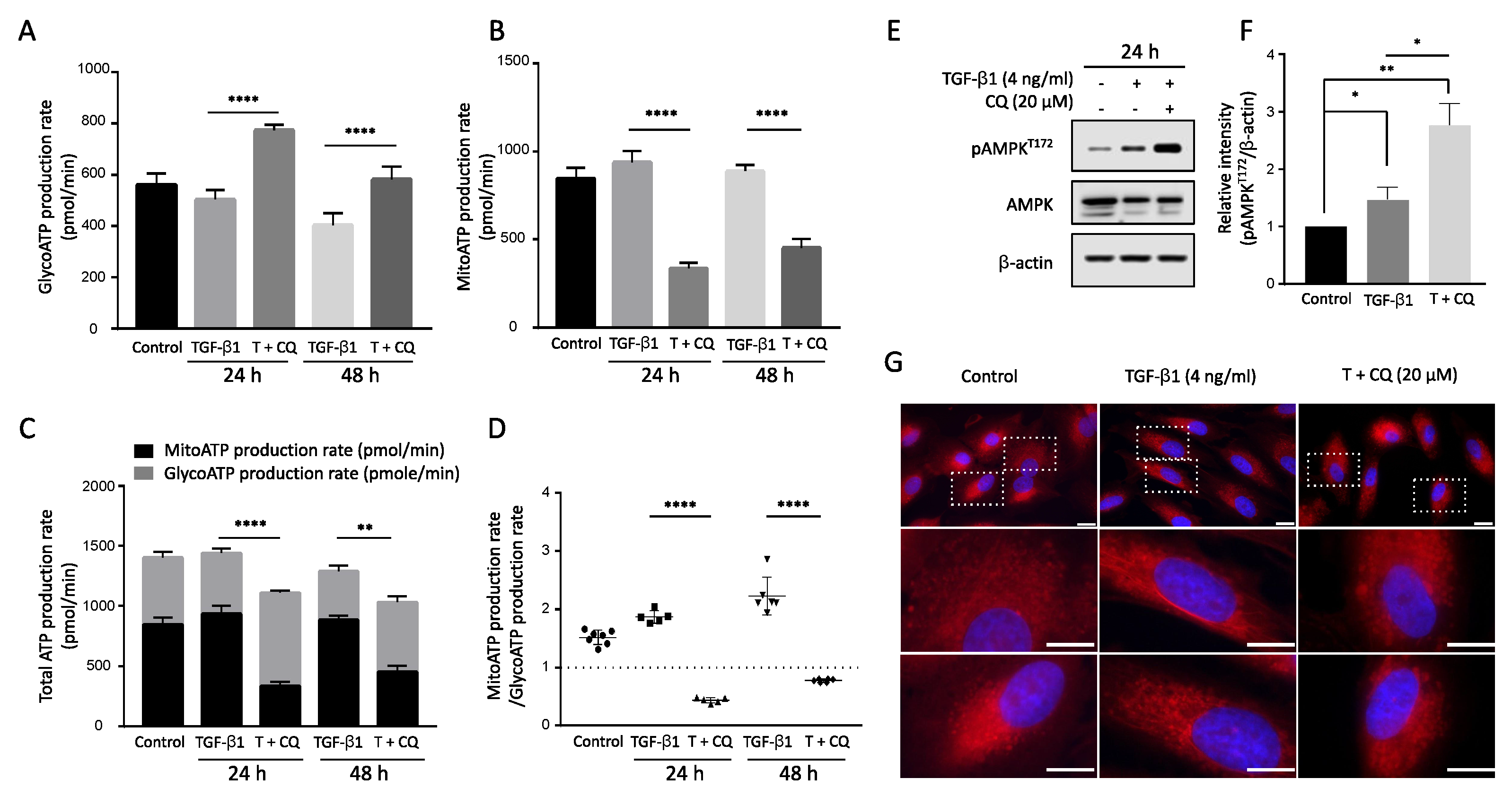 Cancers 14 04845 g006 Cancers 14 04845 g006