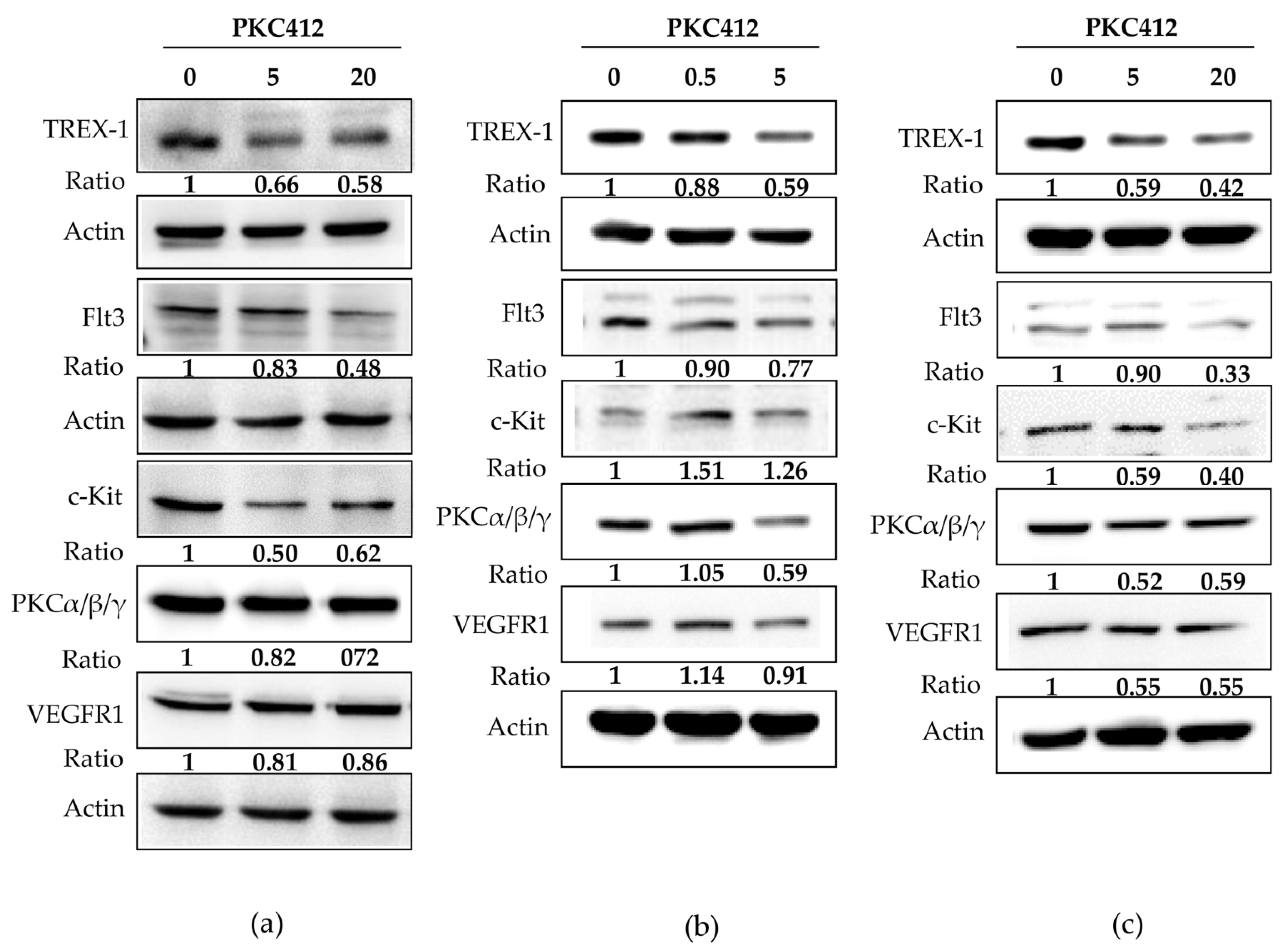 Cancers 14 04847 g006