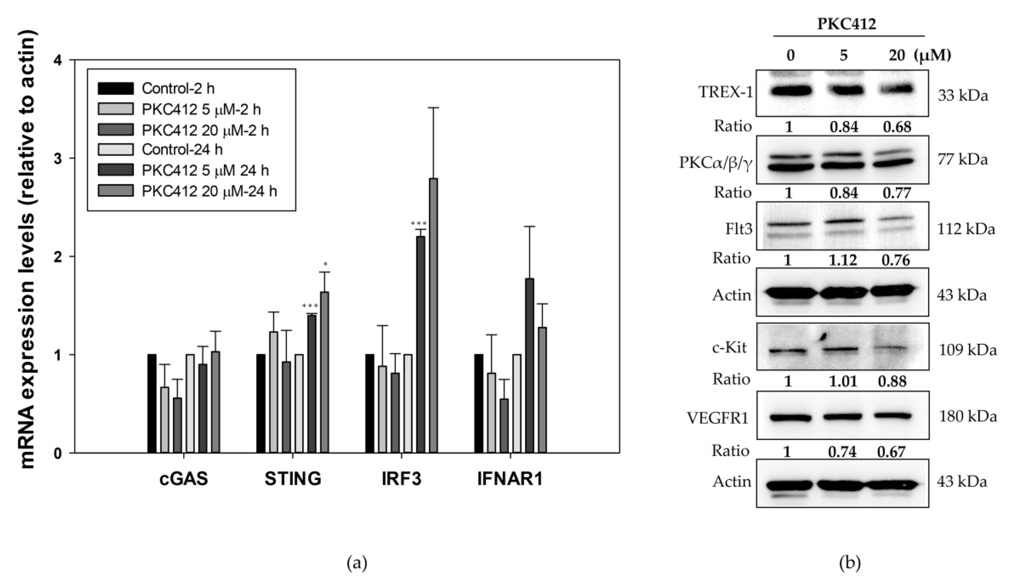 Cancers 14 04847 g008
