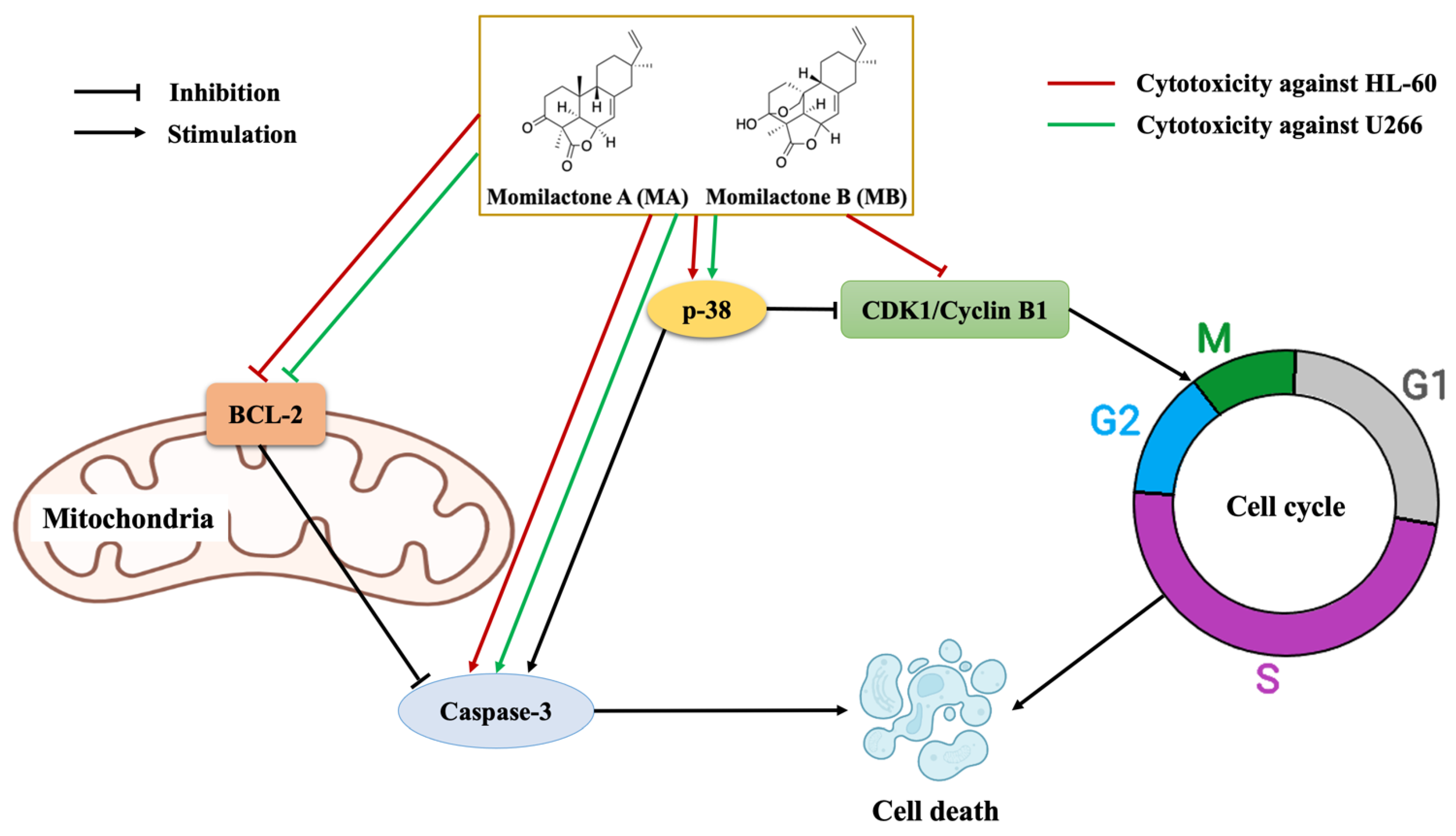 Cancers 14 04848 g005