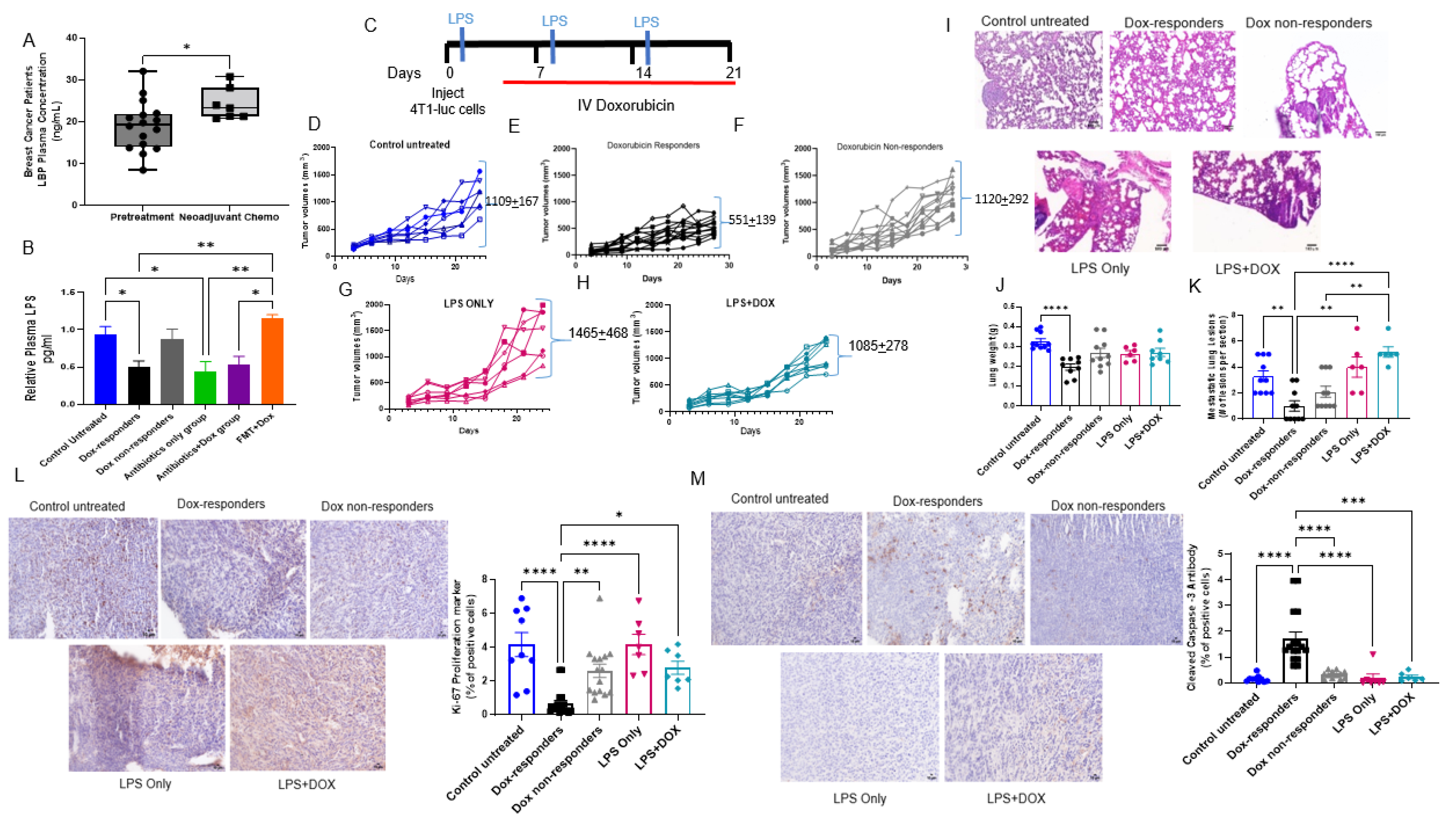 Cancers 14 04849 g005