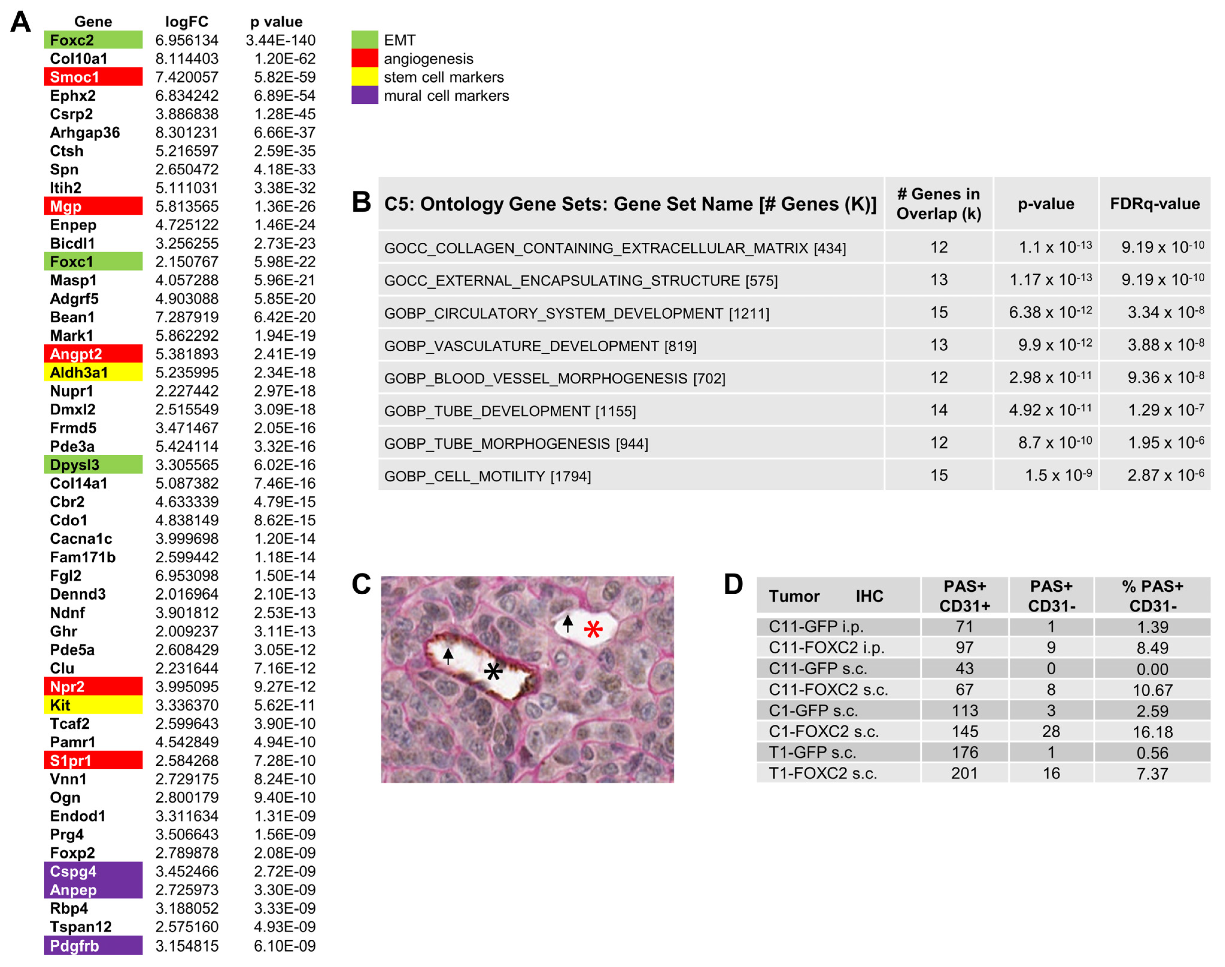 Cancers 14 04851 g004 Cancers 14 04851 g004