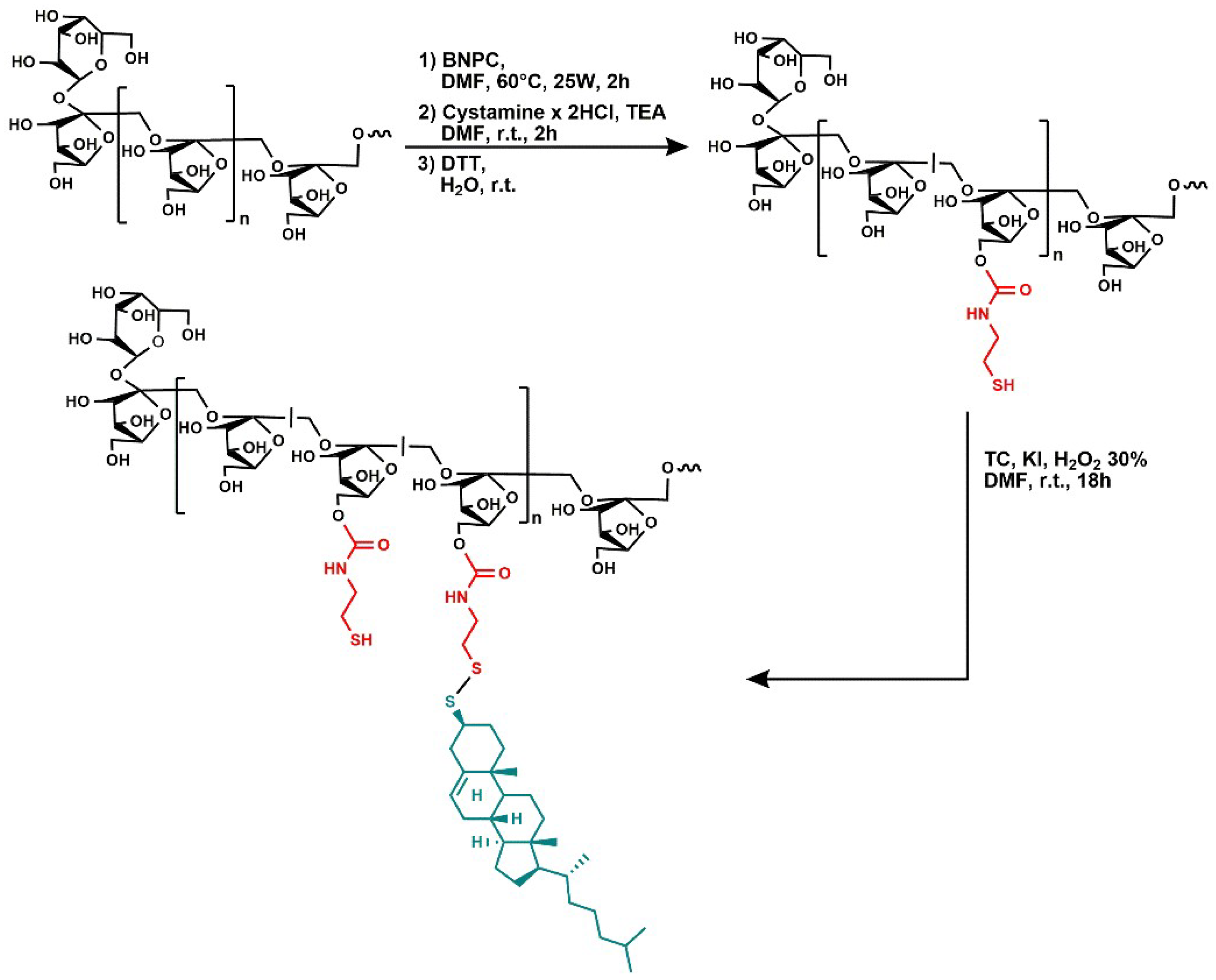 Cancers 14 04857 g001
