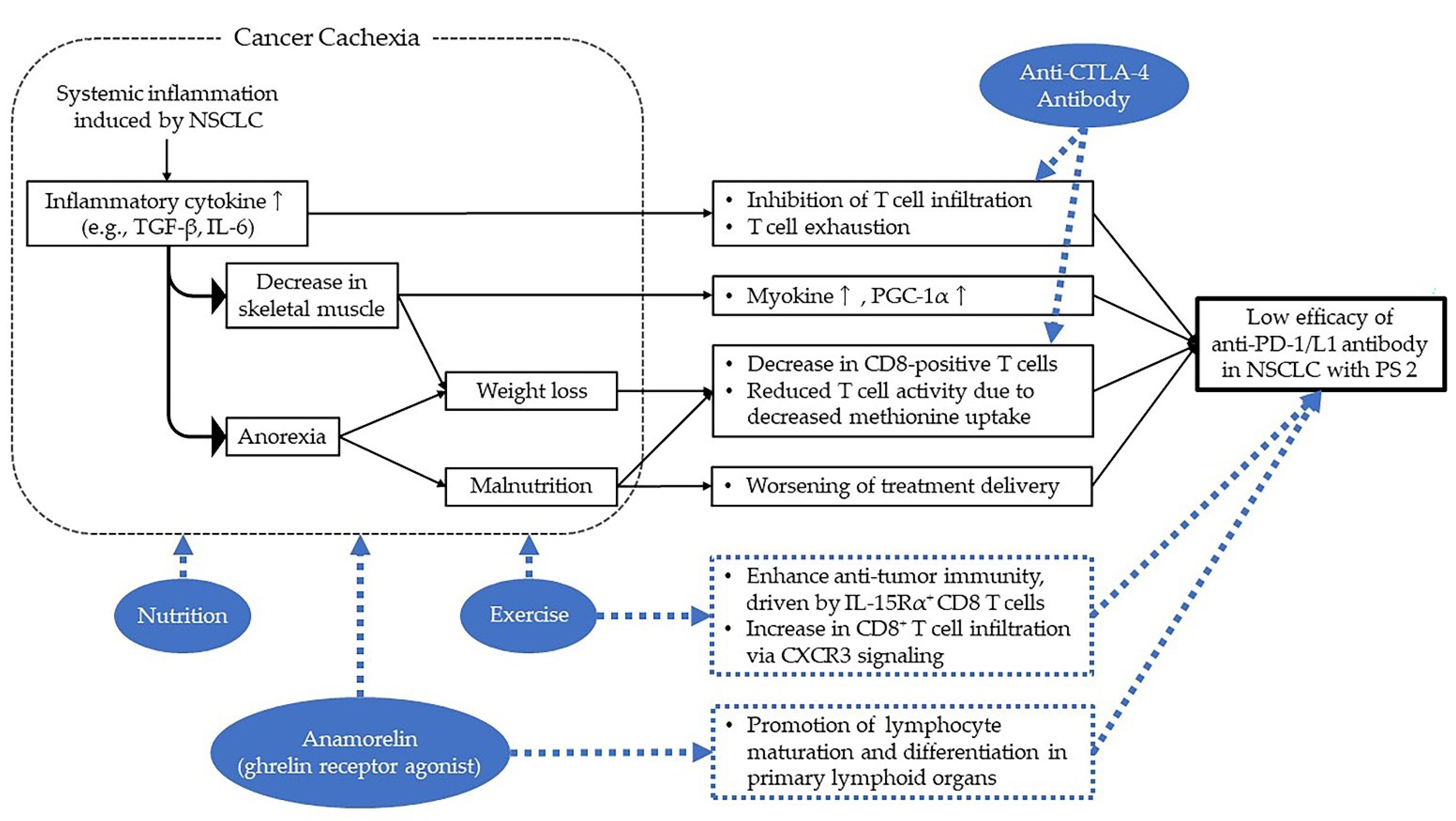 Cancers 14 04861 g001 Cancers 14 04861 g001