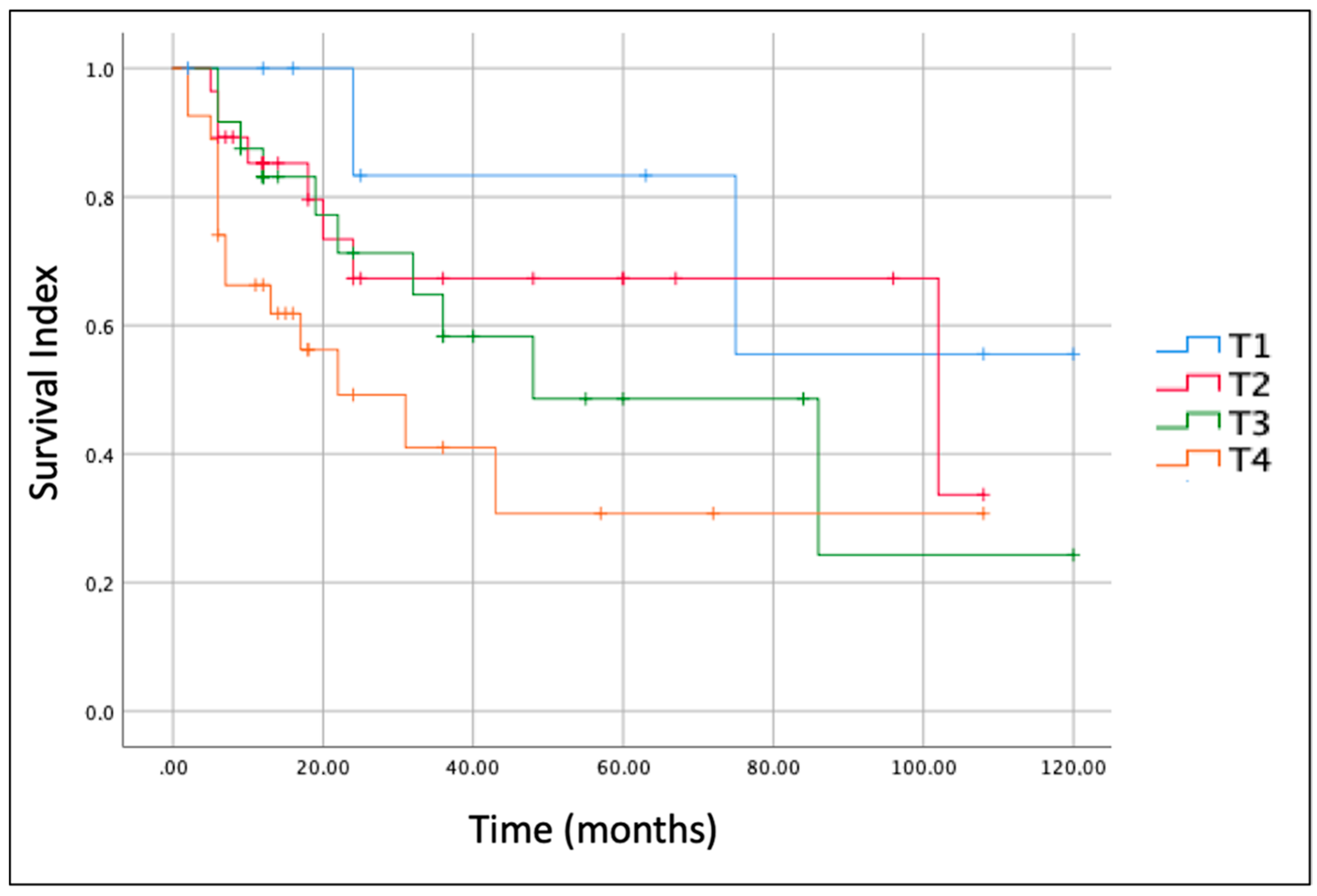 Cancers 14 04862 g003