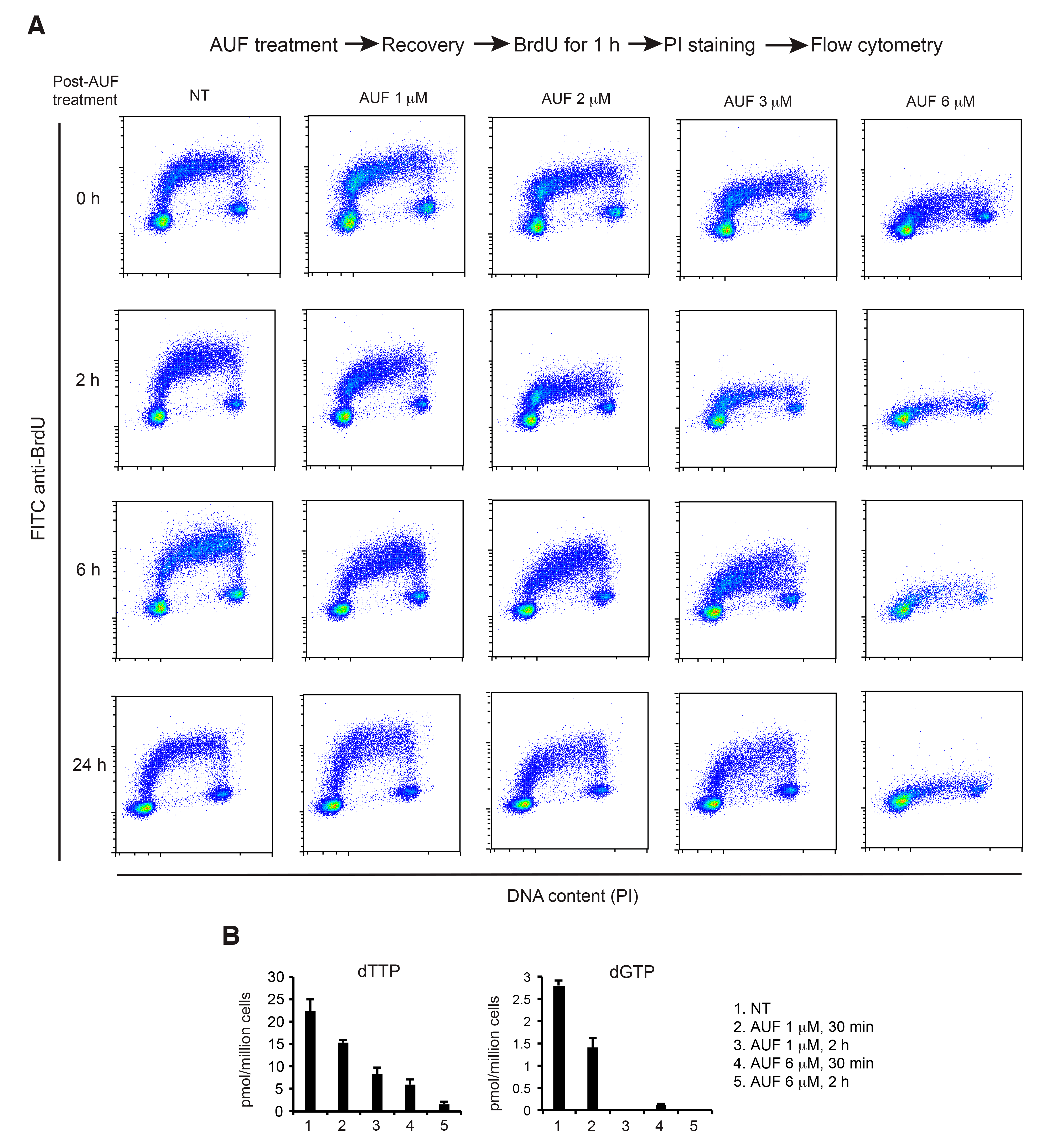 Cancers 14 04864 g005 Cancers 14 04864 g005
