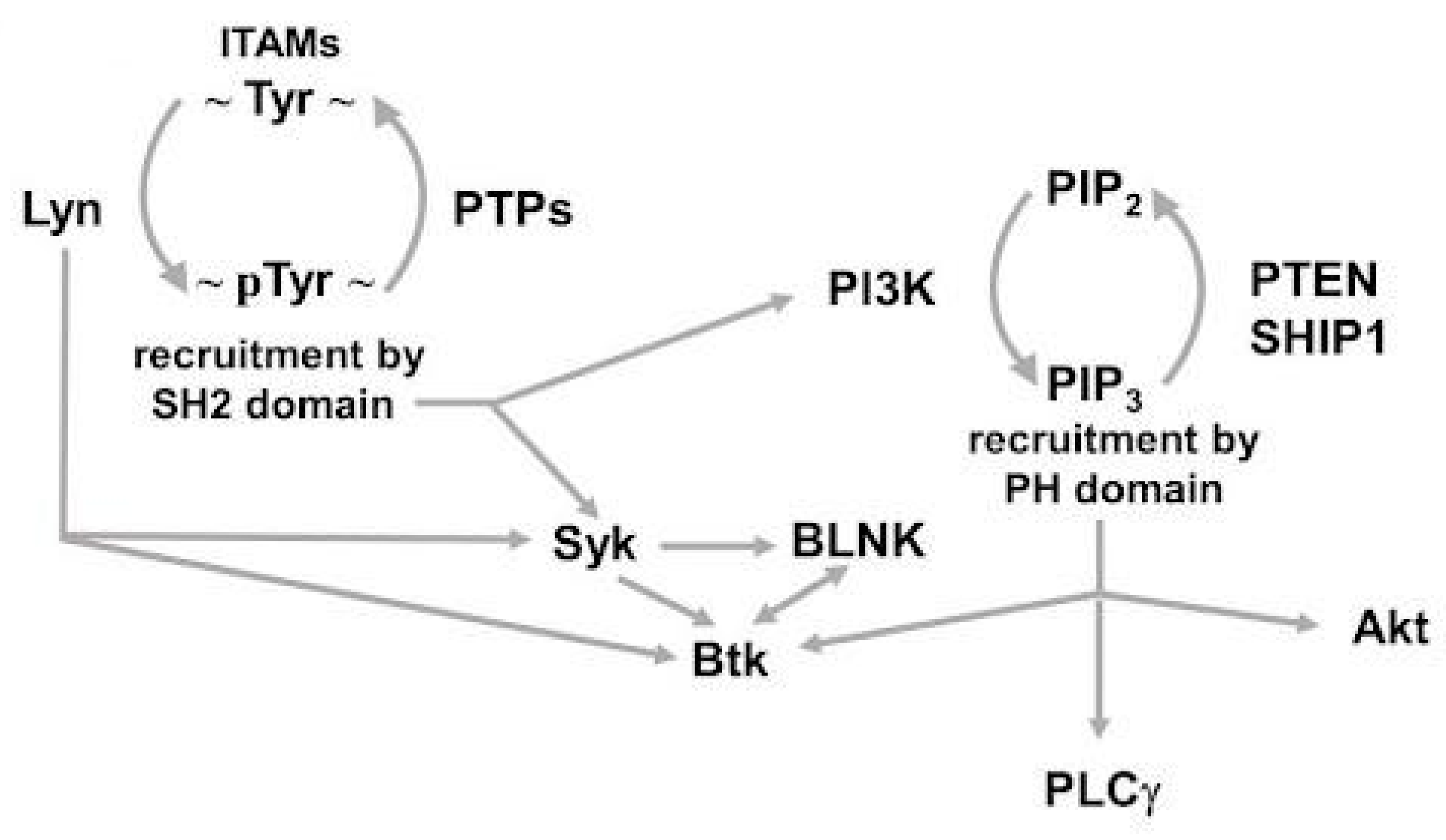 Cancers 14 04881 g001 Cancers 14 04881 g001