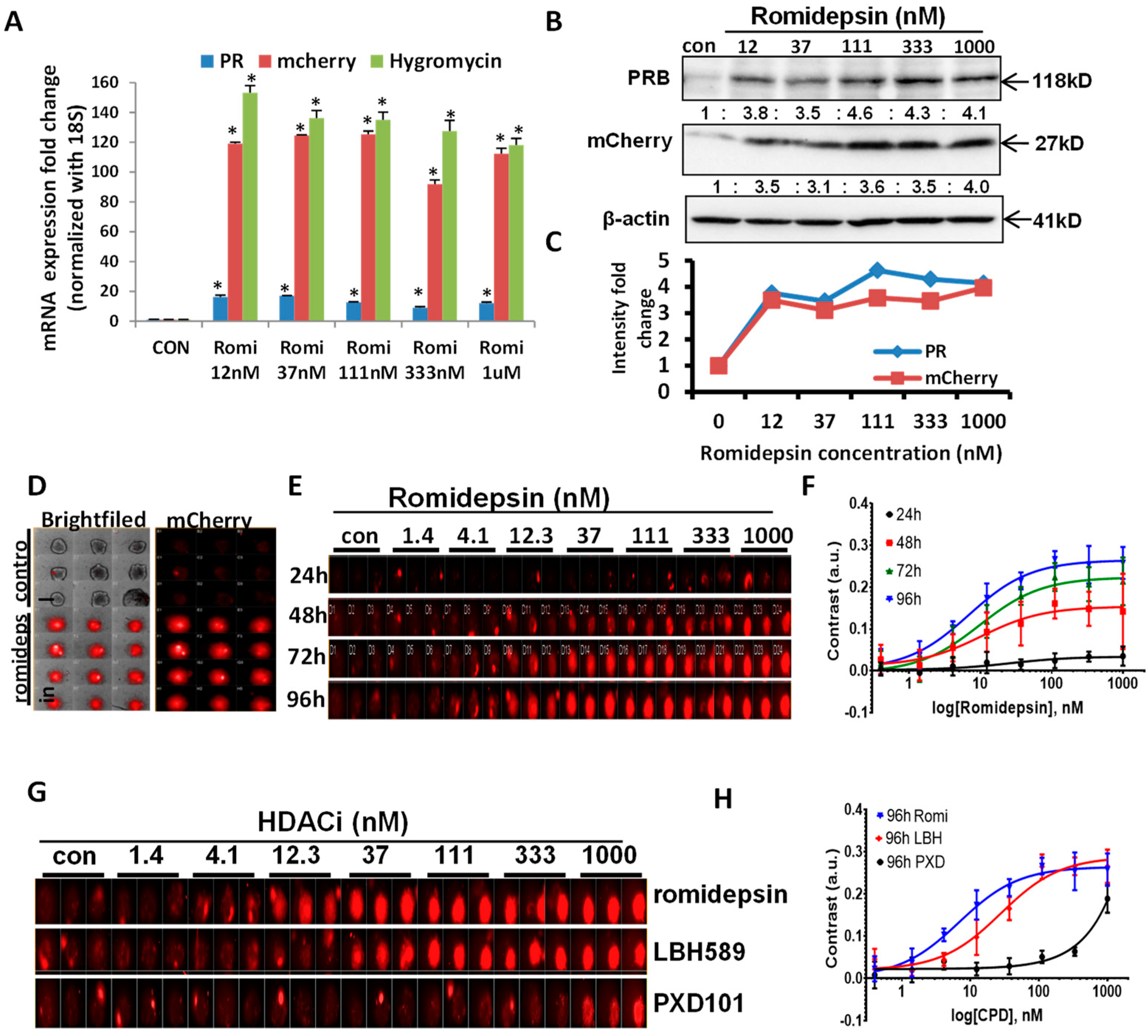 Cancers 14 04883 g002