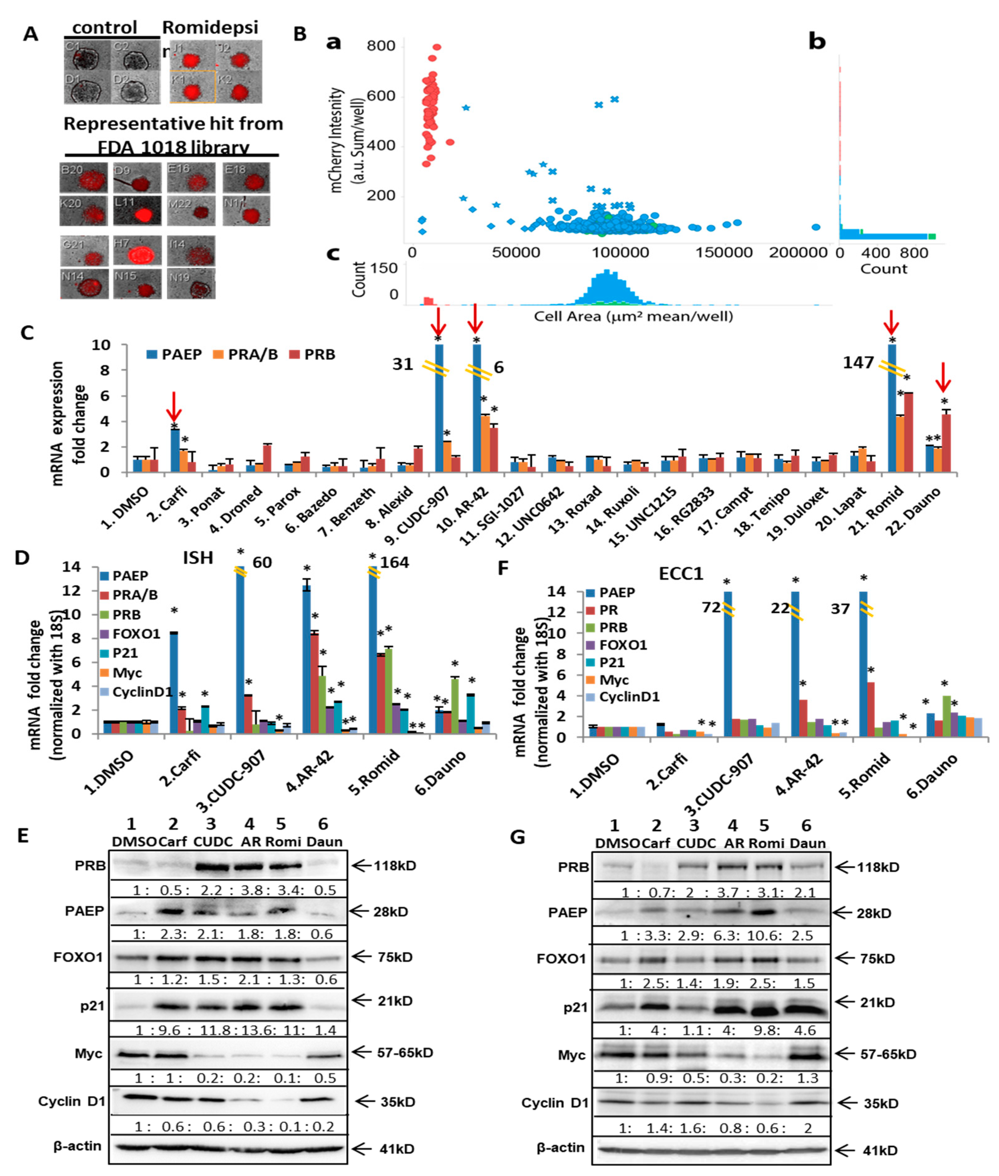 Cancers 14 04883 g003