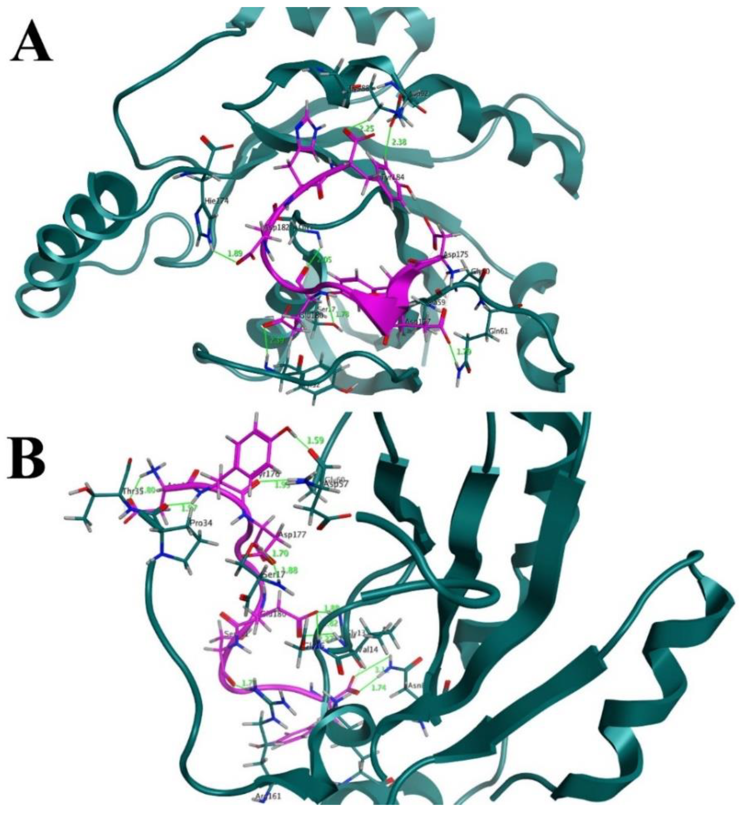 Cancers 14 04884 g005