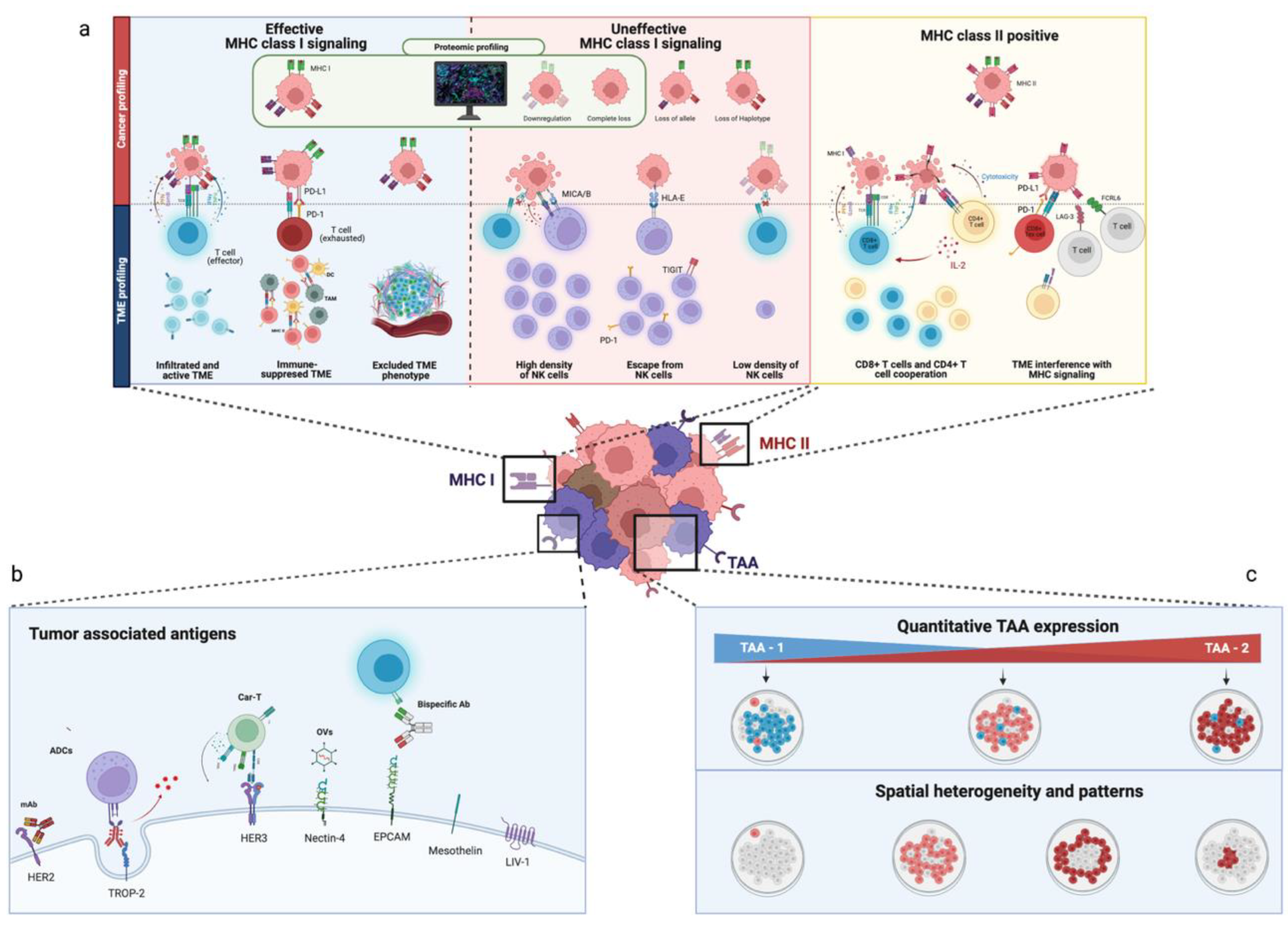 Cancers 14 04885 g001 Cancers 14 04885 g001