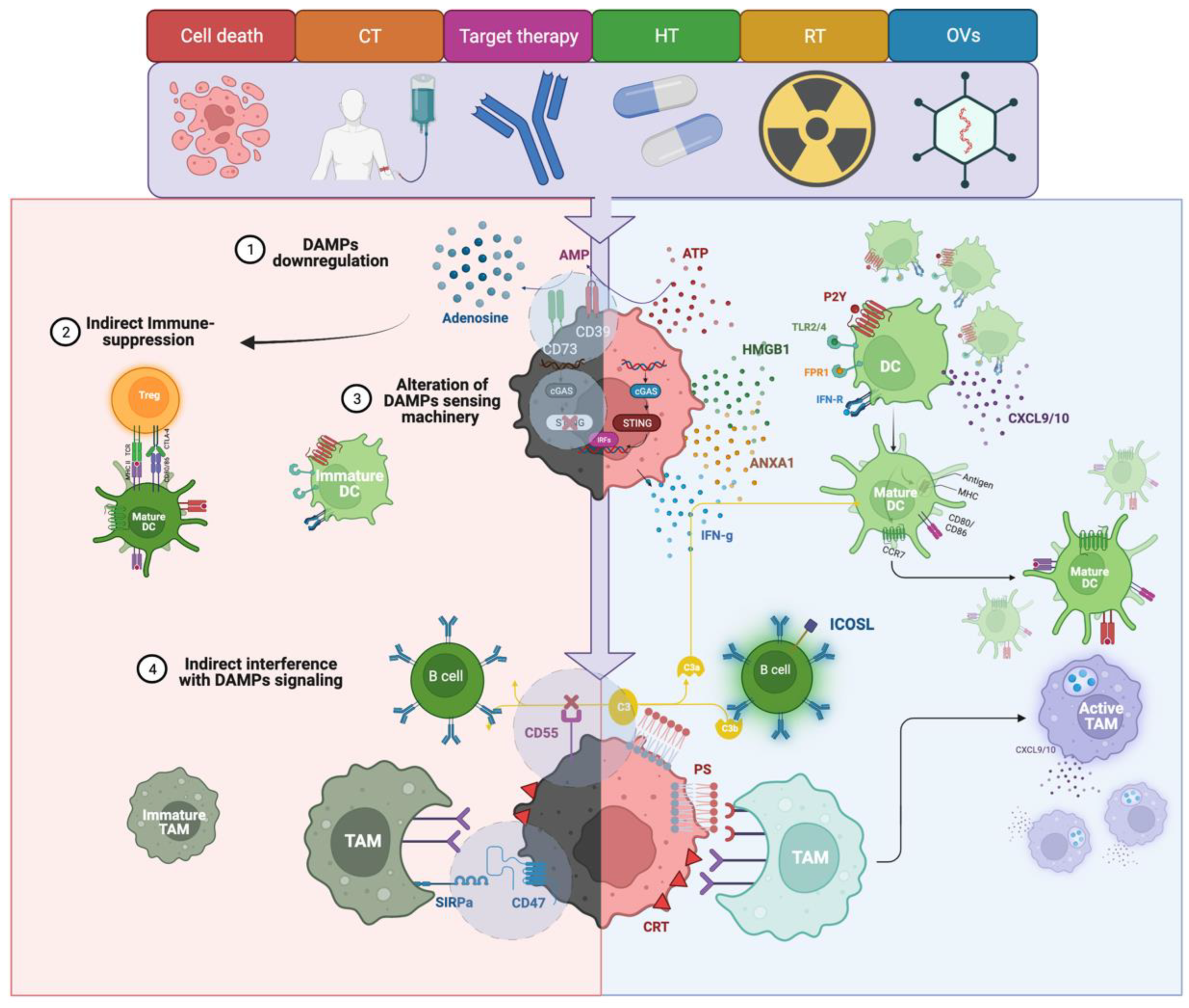 Cancers 14 04885 g002 Cancers 14 04885 g002