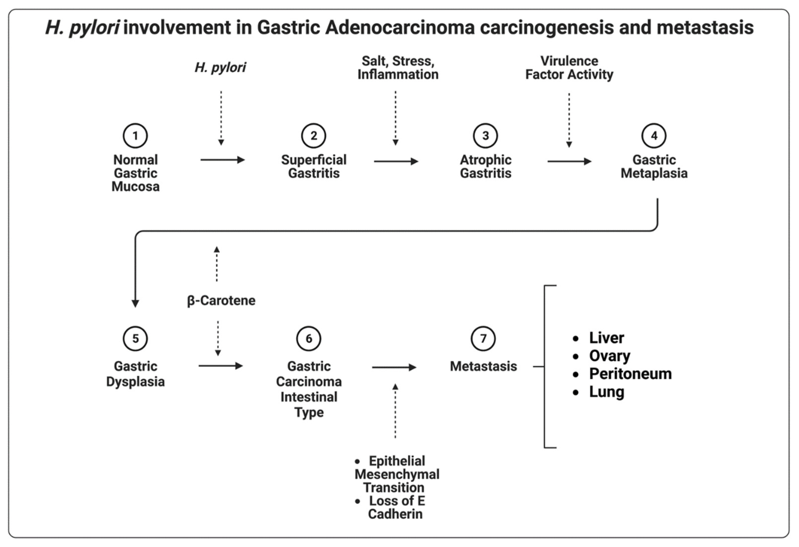Cancers 14 04886 g002