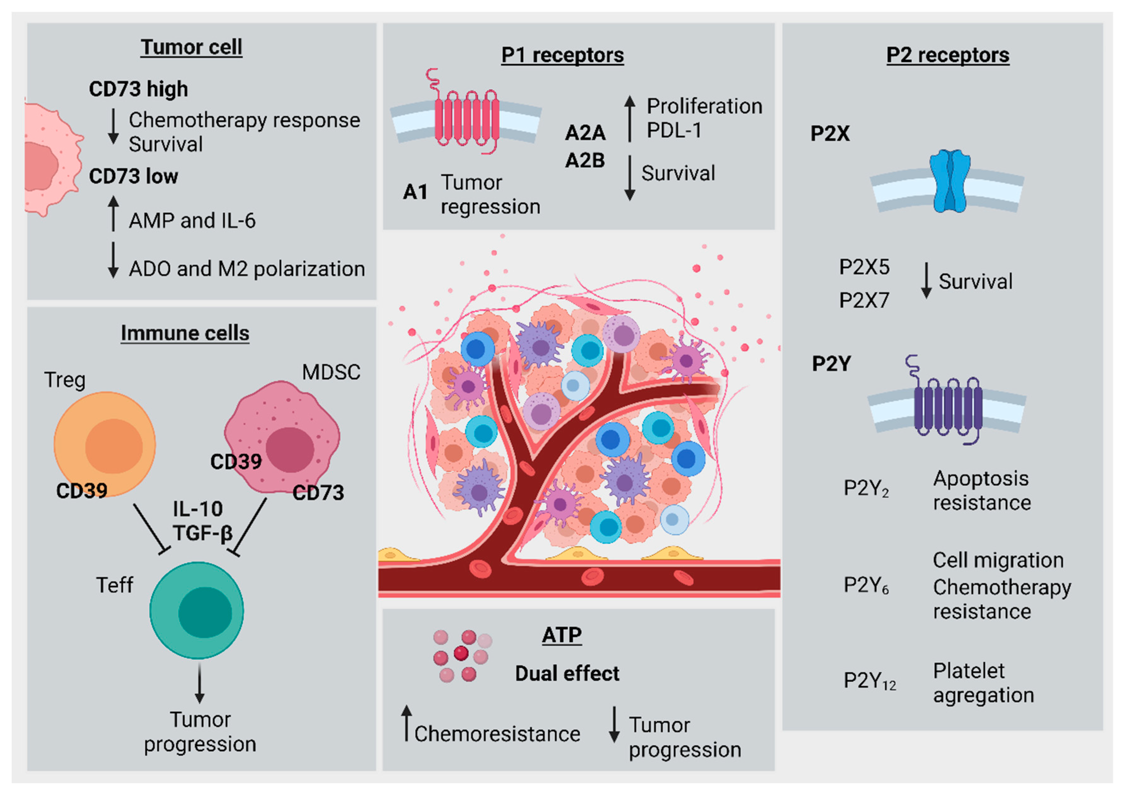 Cancers 14 04887 g003