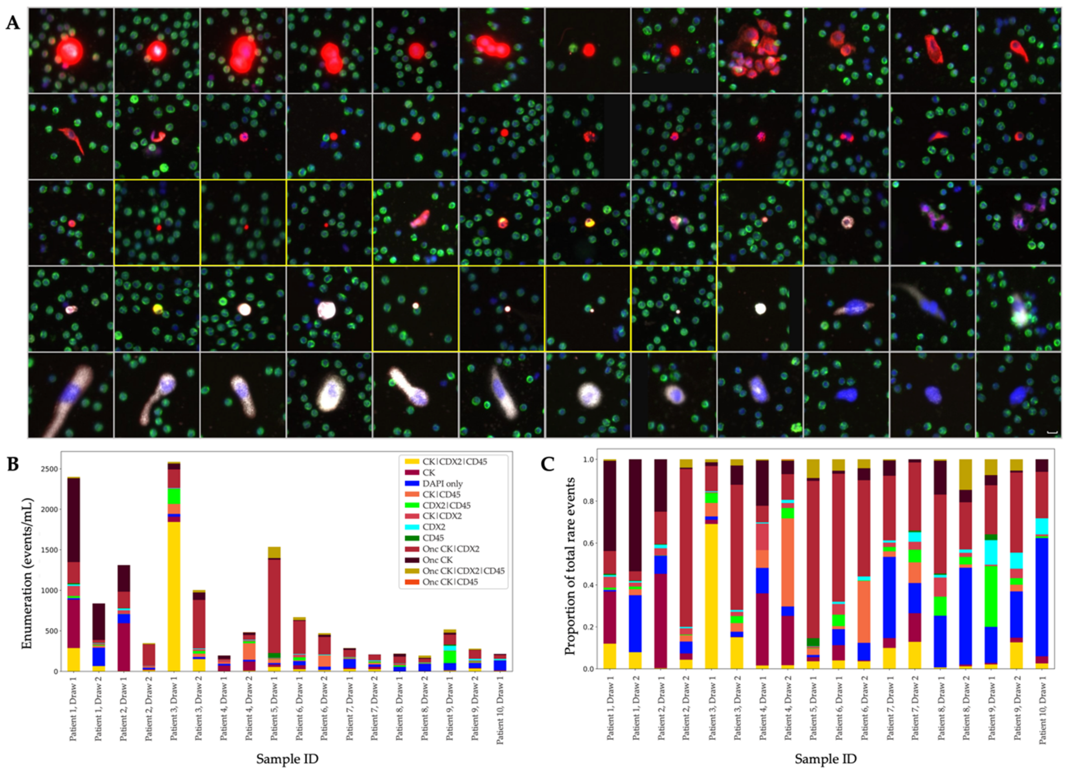 Cancers 14 04891 g003