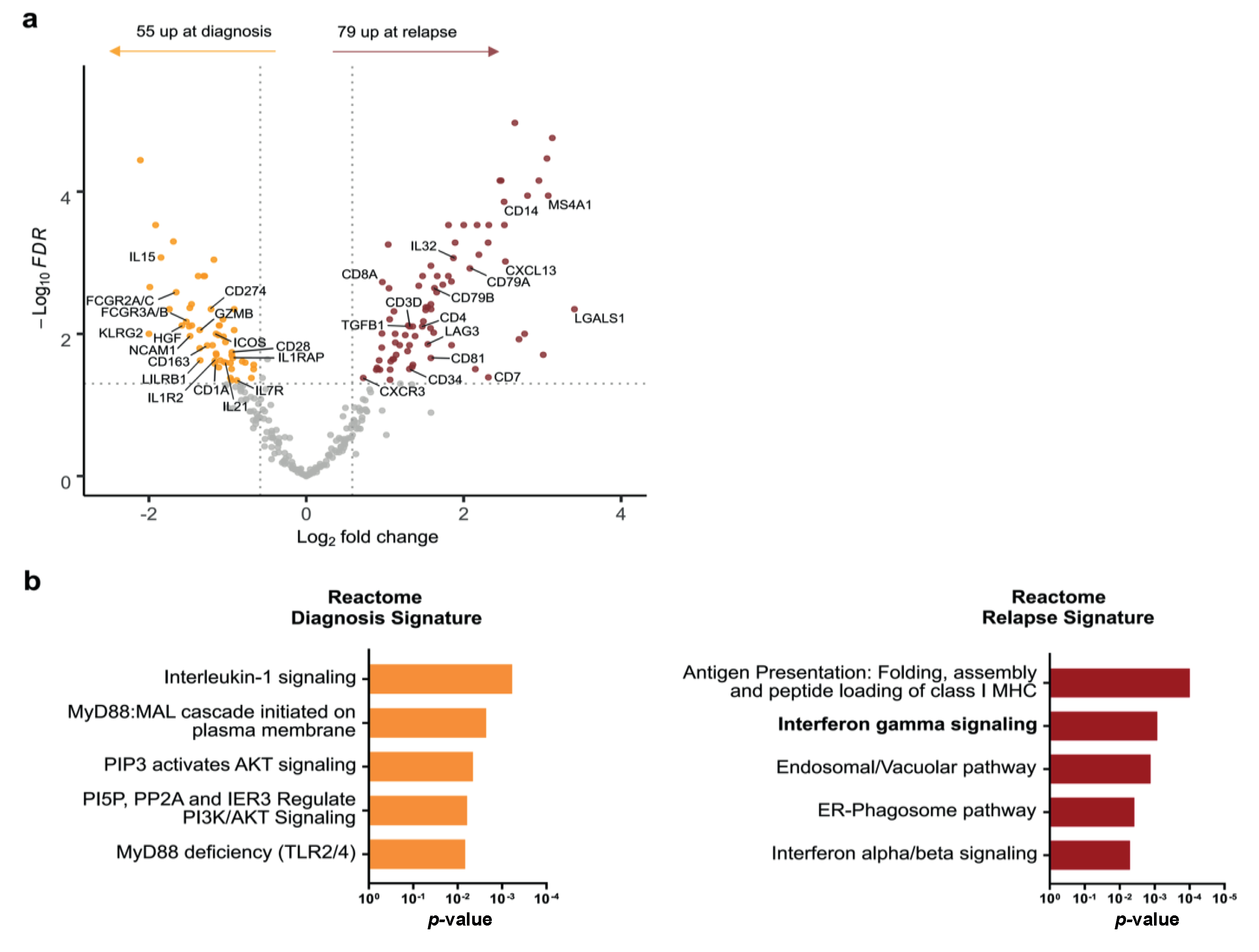 Cancers 14 04893 g003 Cancers 14 04893 g003