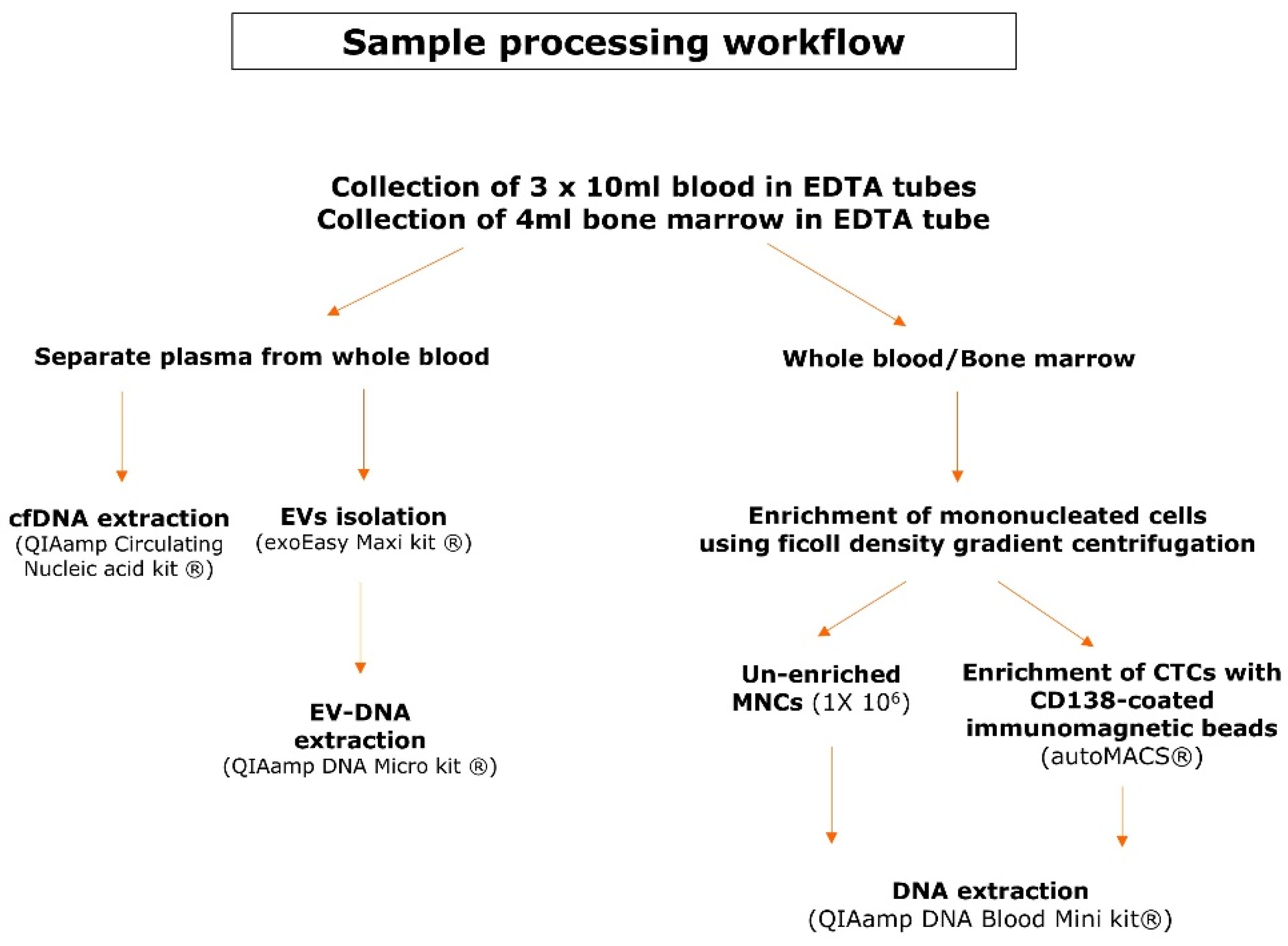 Cancers 14 04901 g001