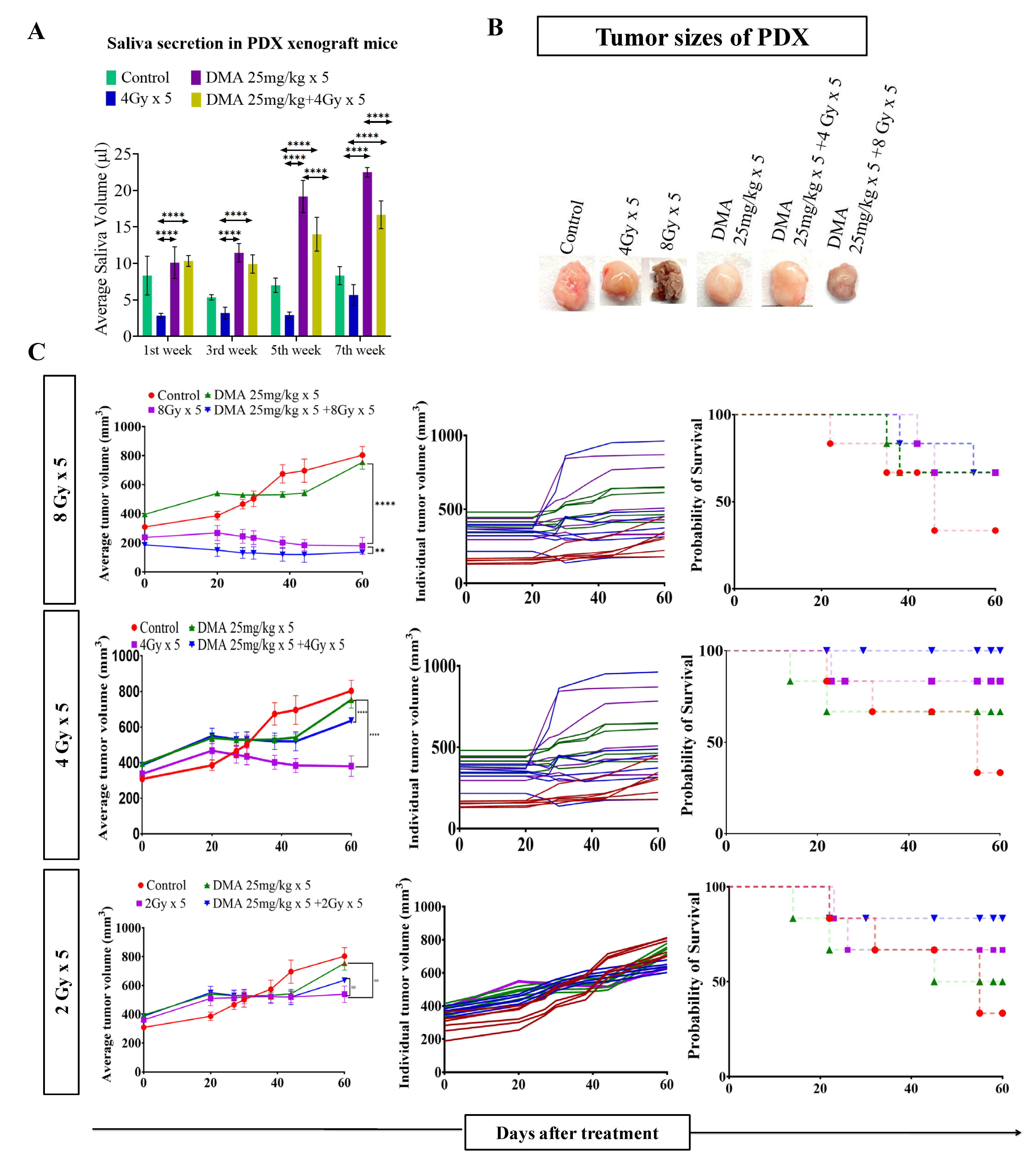 Cancers 14 04908 g003